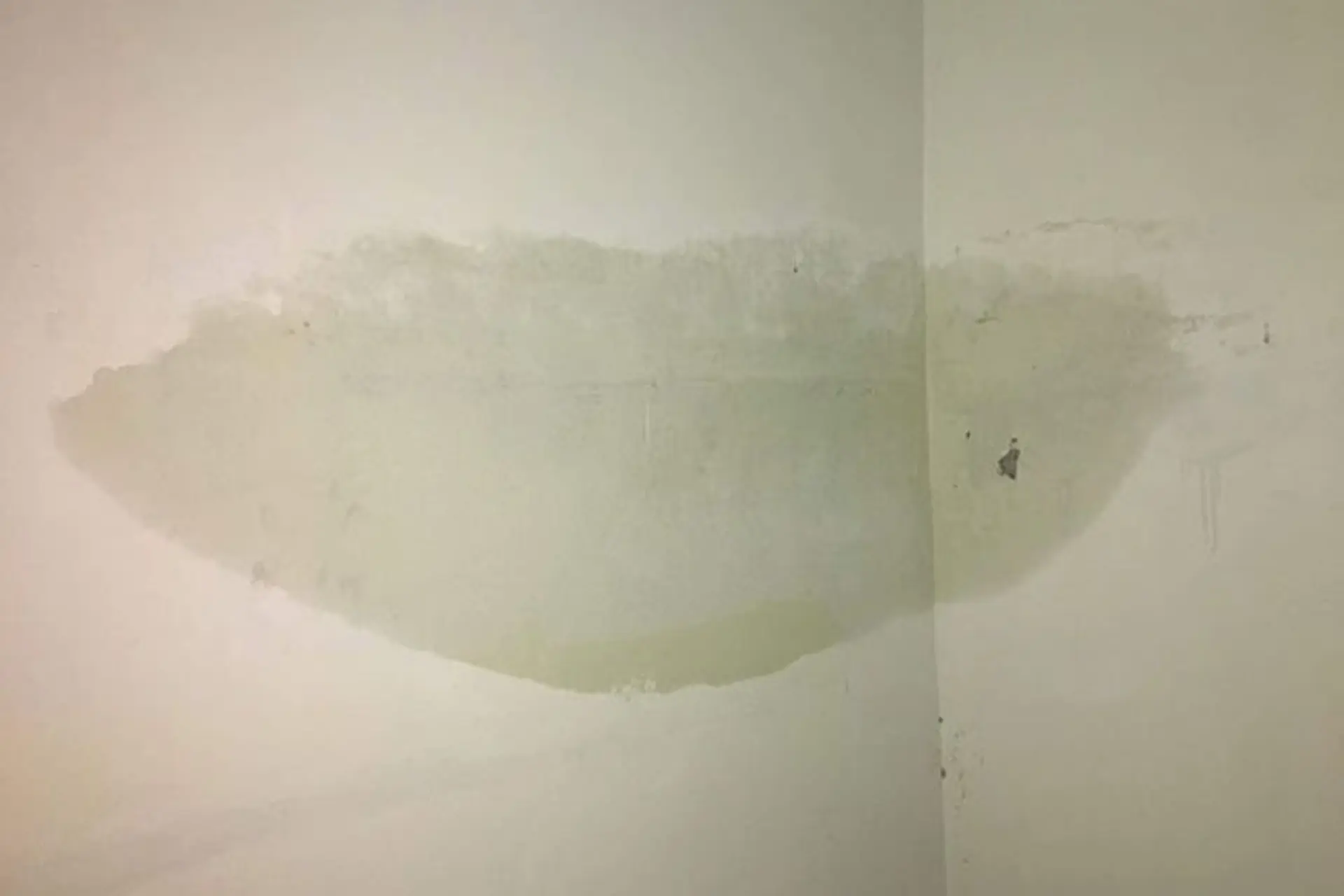 Tường bị thấm nước: Nguyên nhân, hậu quả, cách xử lý và cách phòng ngừa hiệu quả
