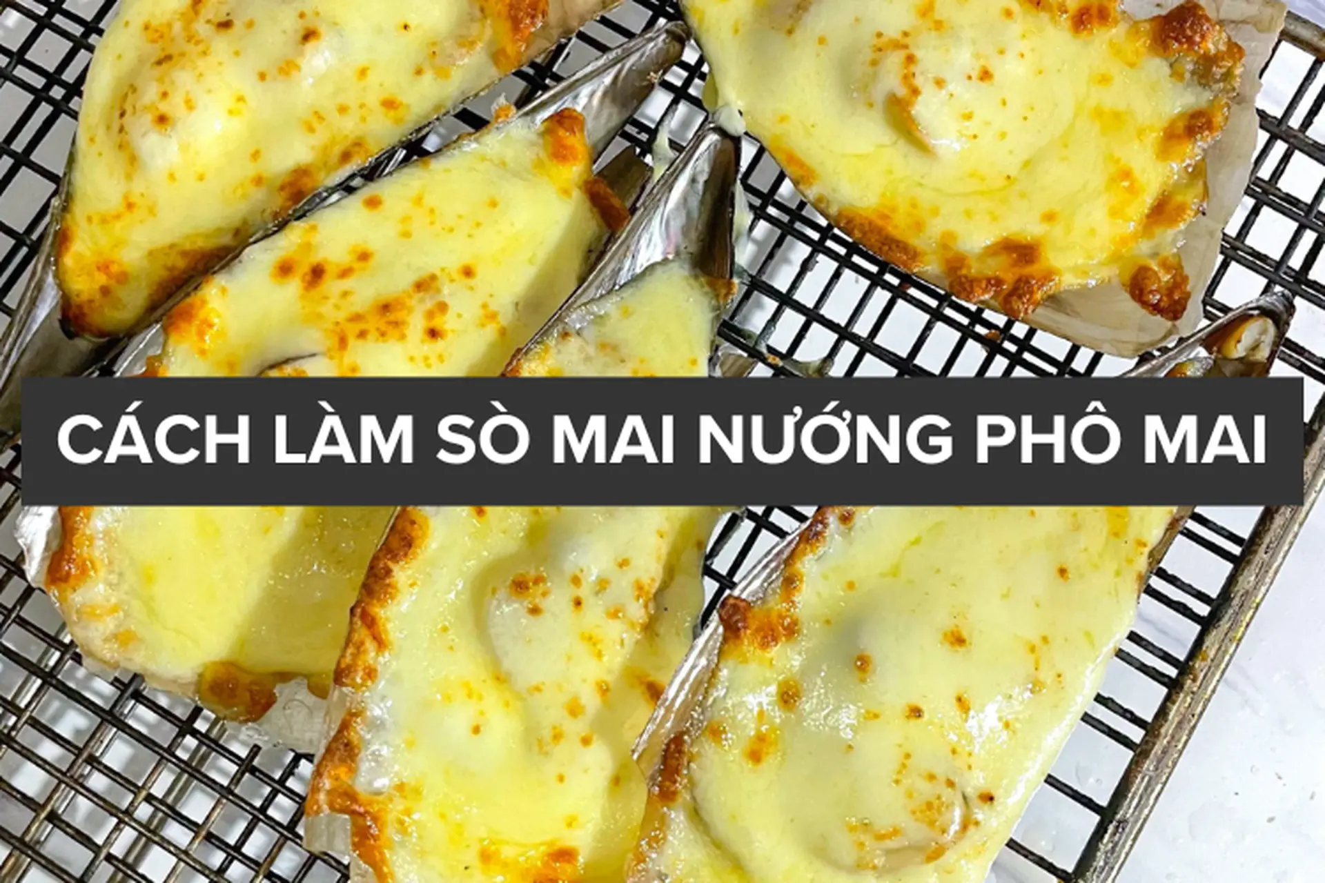 Sò mai nướng phô mai – Món ăn thơm ngon, hấp dẫn cho mọi bữa tiệc thêm vui 