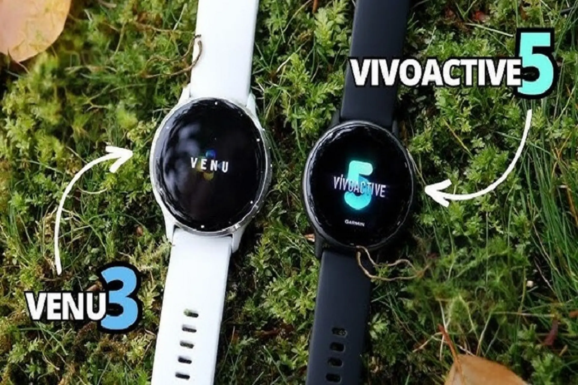 So sánh Garmin Vivoactive 5 và Garmin Venu 3: Có những điểm giống và khác nhau nào?