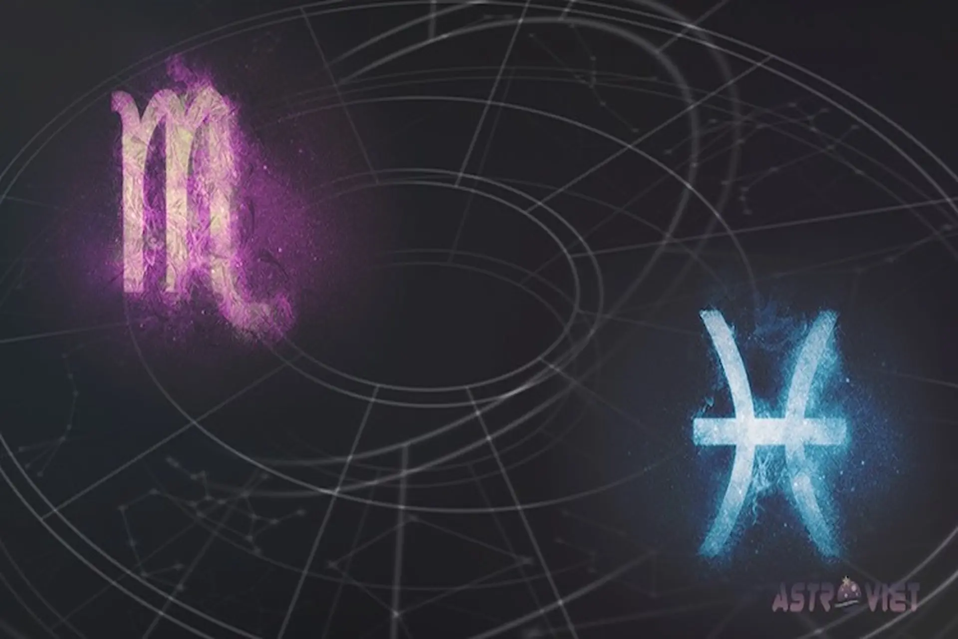 Song Ngư và Bọ Cạp có hợp không? Giải mã tình yêu và sự hòa hợp giữa hai cung hoàng đạo nước