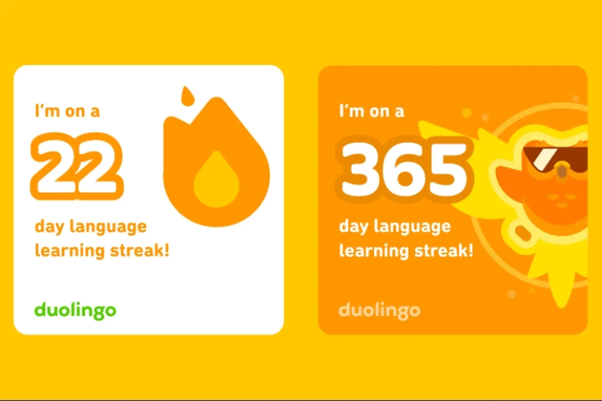 Tất tần tật về streak Duolingo và những thắc mắc thường gặp nhất của các “streak thủ” 