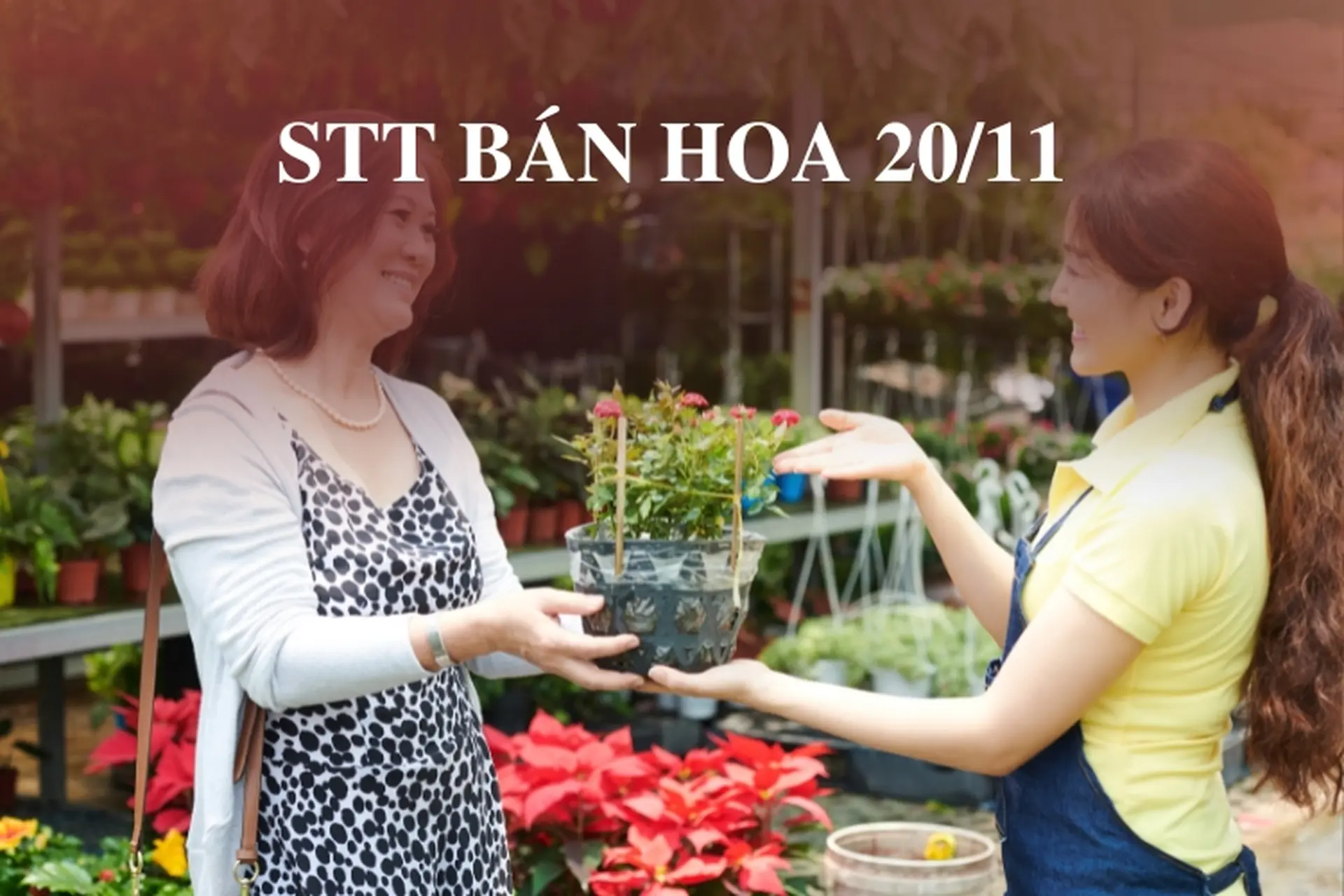 STT bán hoa 20/11 – Những câu chúc hay, ưu đãi hấp dẫn để thu hút khách hàng