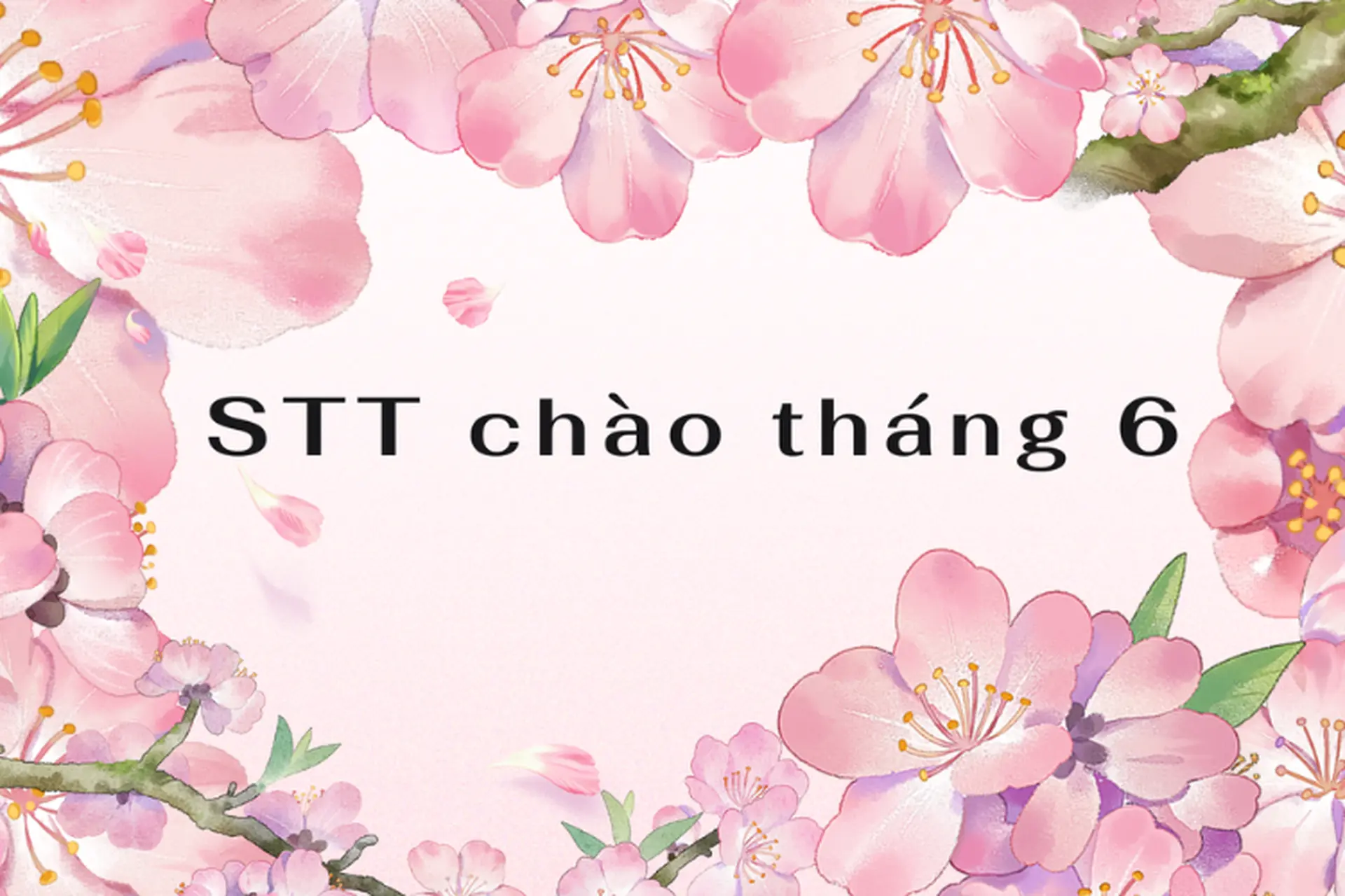 Tổng hợp những STT chào tháng 6 rực rỡ, tươi mới mang năng lượng tích cực đón mùa hè