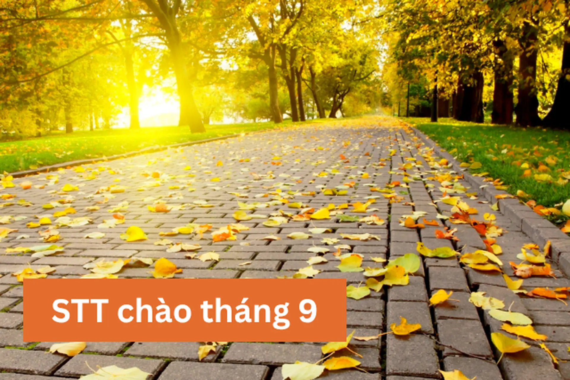 STT chào tháng 9 đầy cảm xúc: Viết cho tháng của yêu thương, hy vọng và những khởi đầu dịu dàng