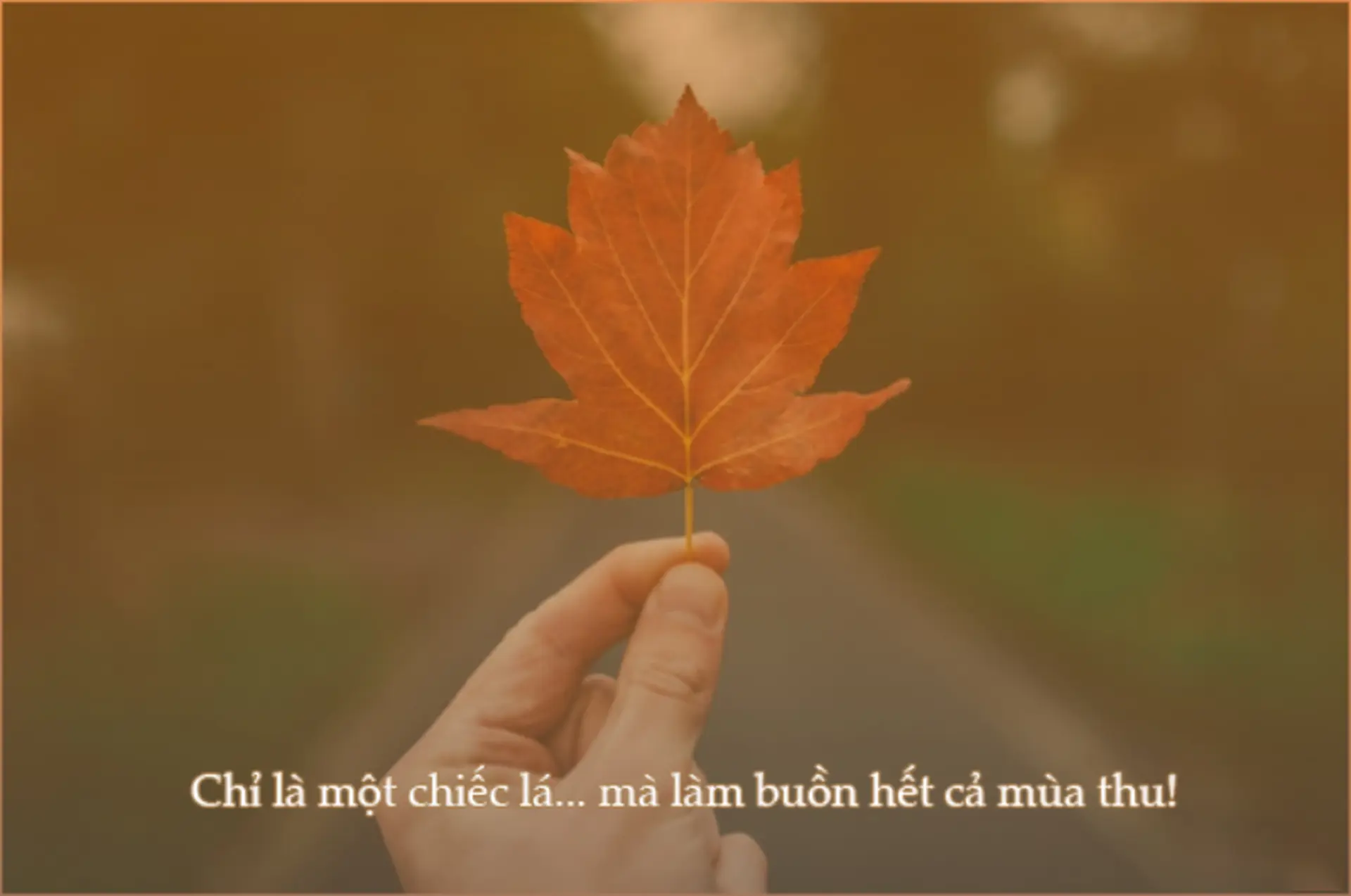 STT tạm biệt tháng 9 hay và ý nghĩa, gửi gắm cảm xúc để chào đón tháng 10 mới