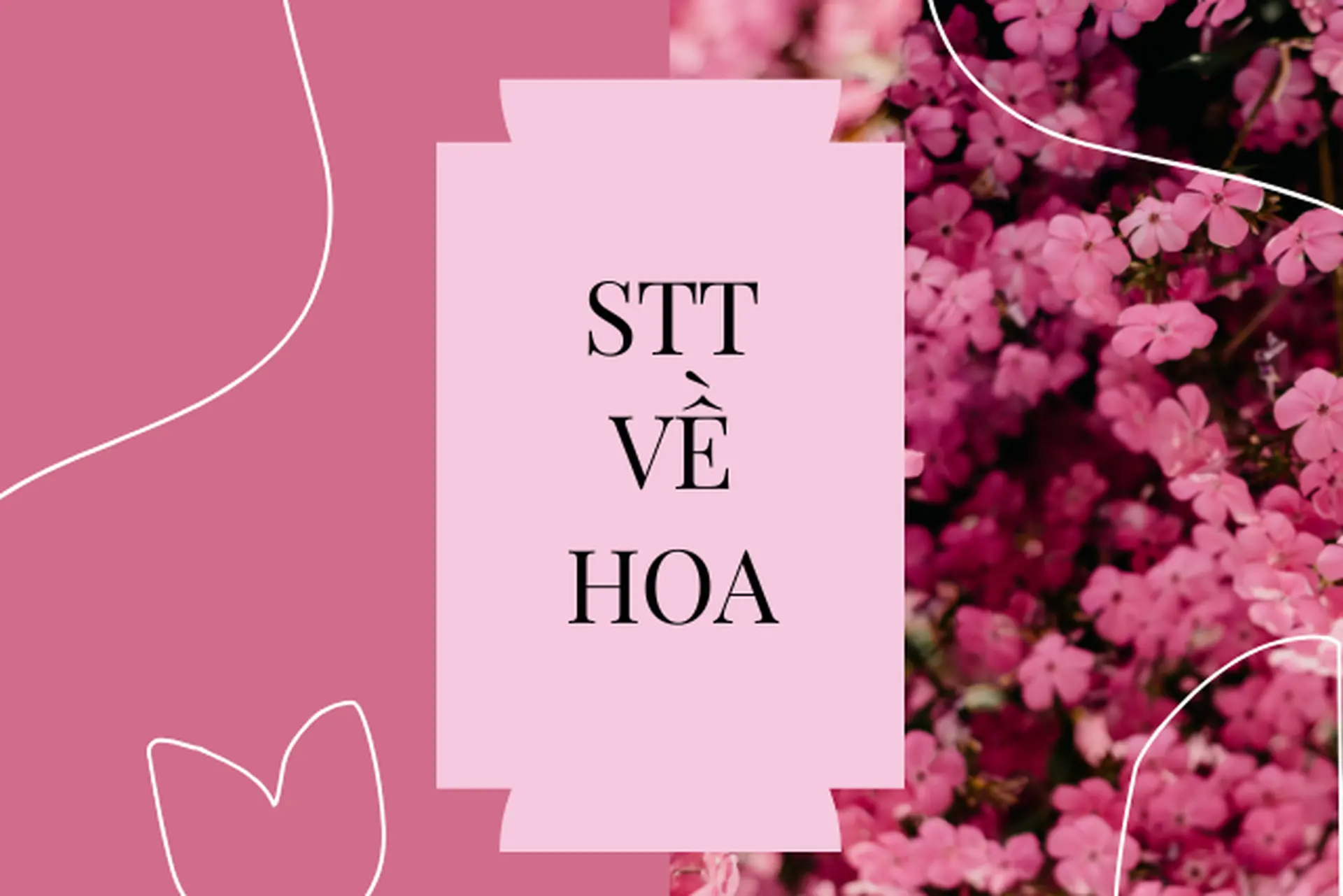 STT về hoa mang lại cảm xúc ngọt ngào và khiến bạn muốn chia sẻ ngay lên mạng