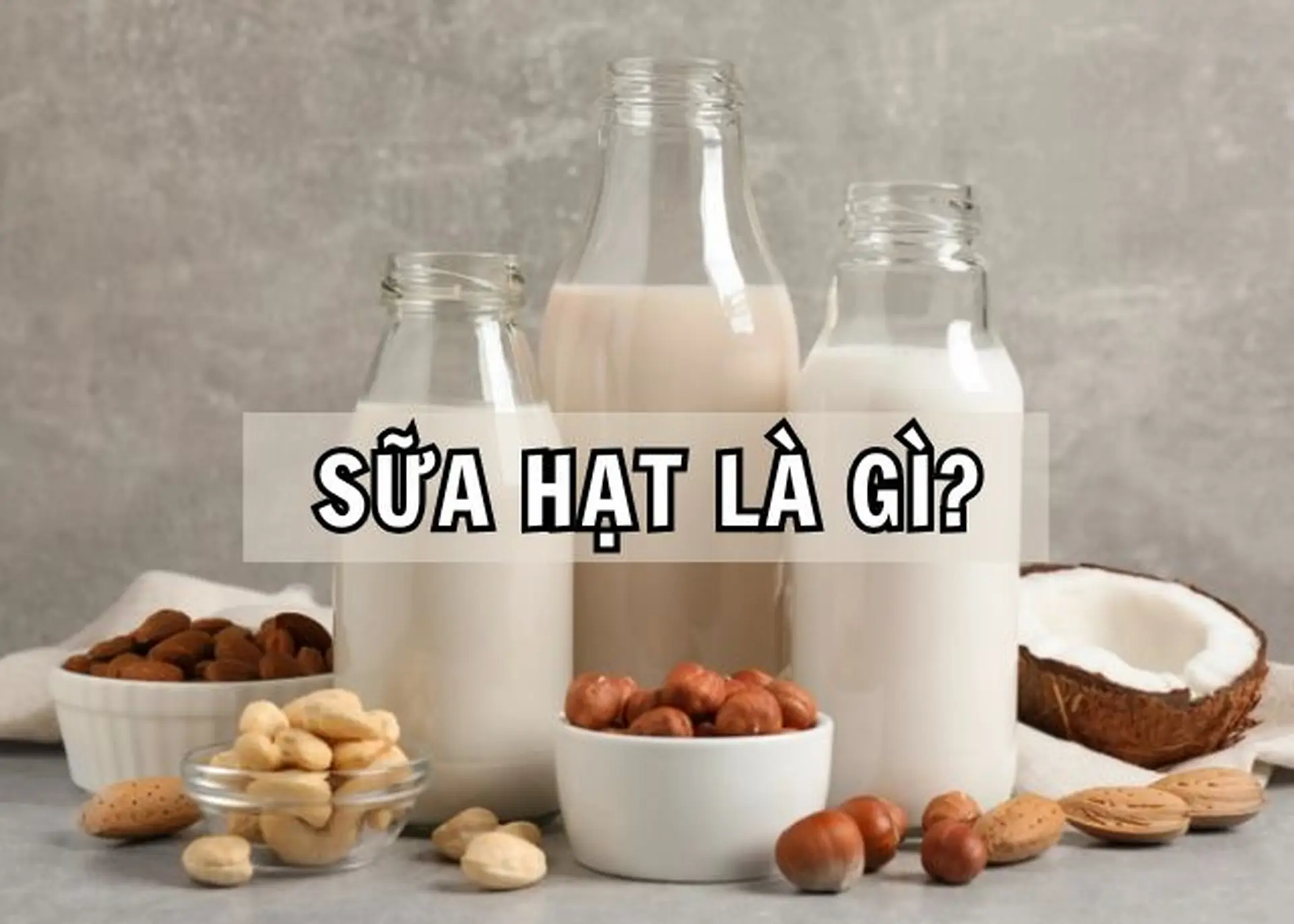 Sữa hạt là gì? Công dụng tuyệt vời dành cho sức khỏe và những lưu ý khi sử sụng