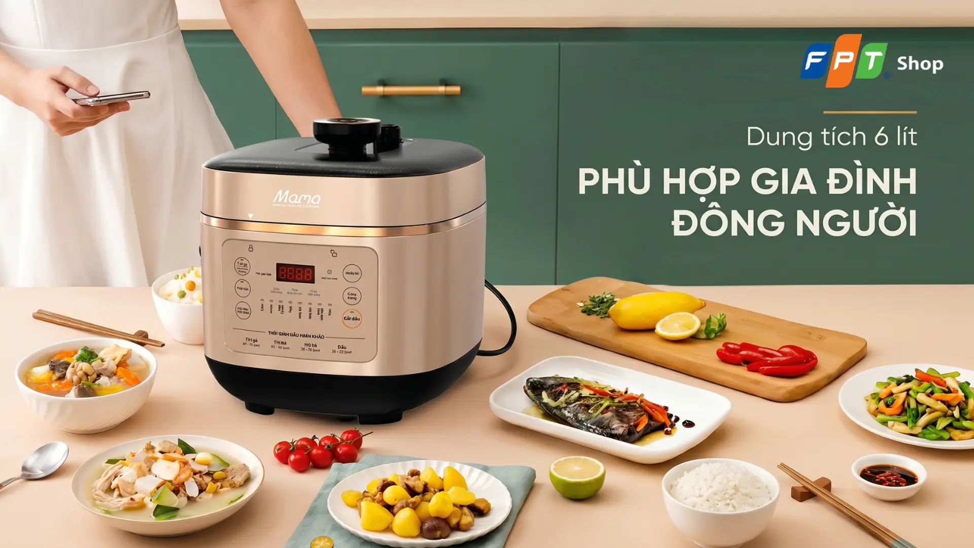 https://fptshop.com.vn/