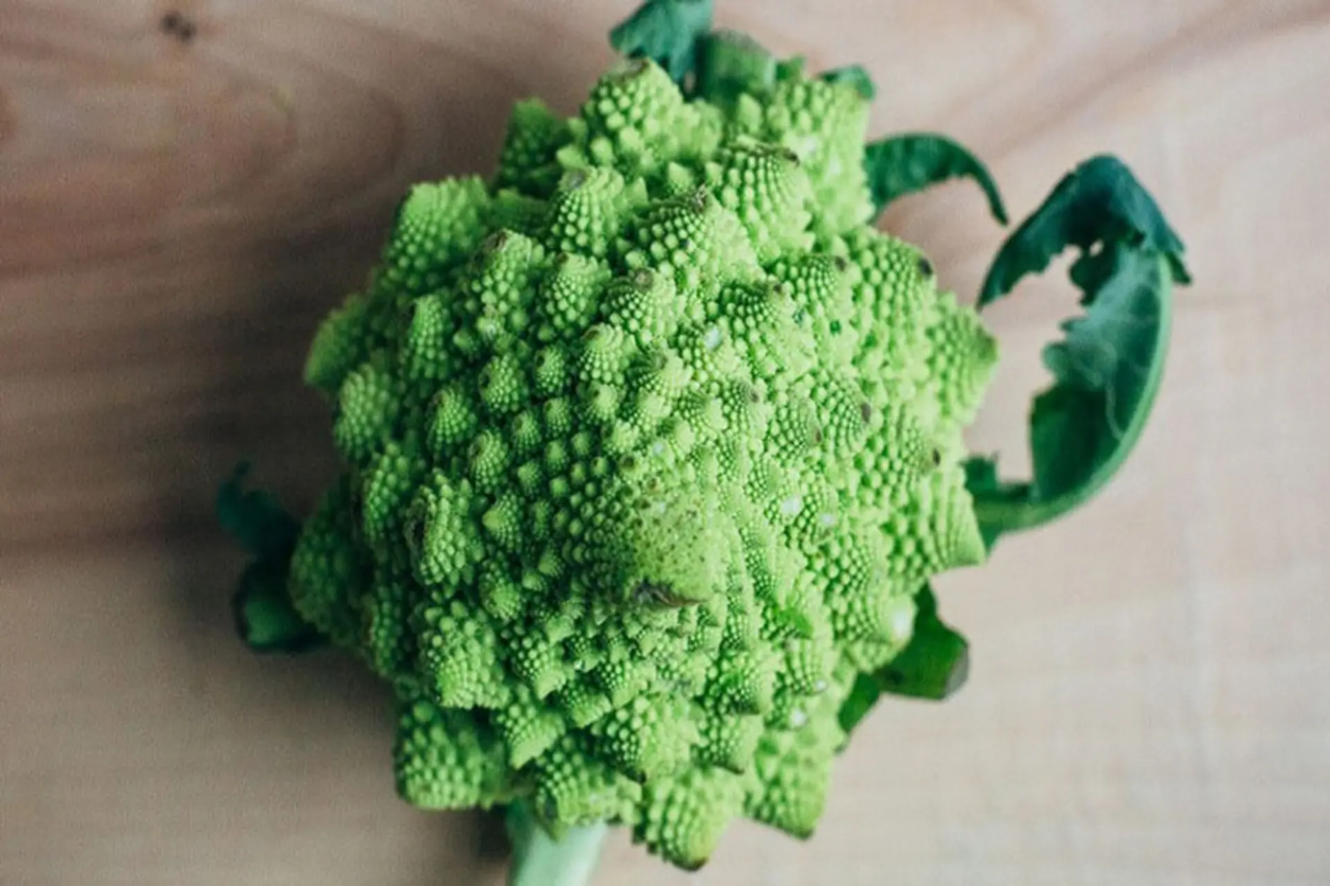 Súp lơ san hô là gì? Hàm lượng dinh dưỡng và cách chế biến súp lơ san hô như thế nào?