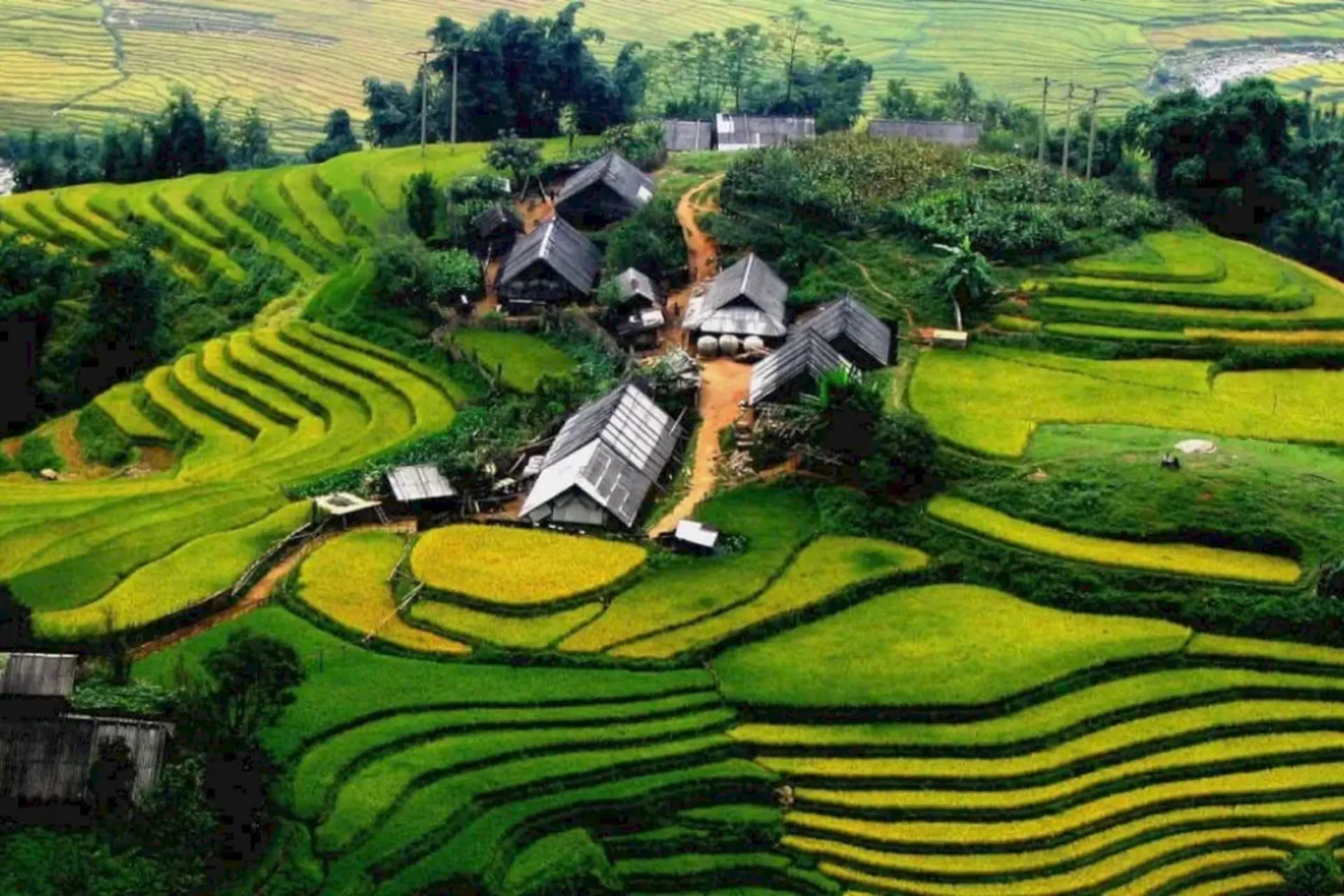 Tả Phìn có gì chơi? Kinh nghiệm đi du lịch bản Tả Phìn Sapa cho người mê khám phá