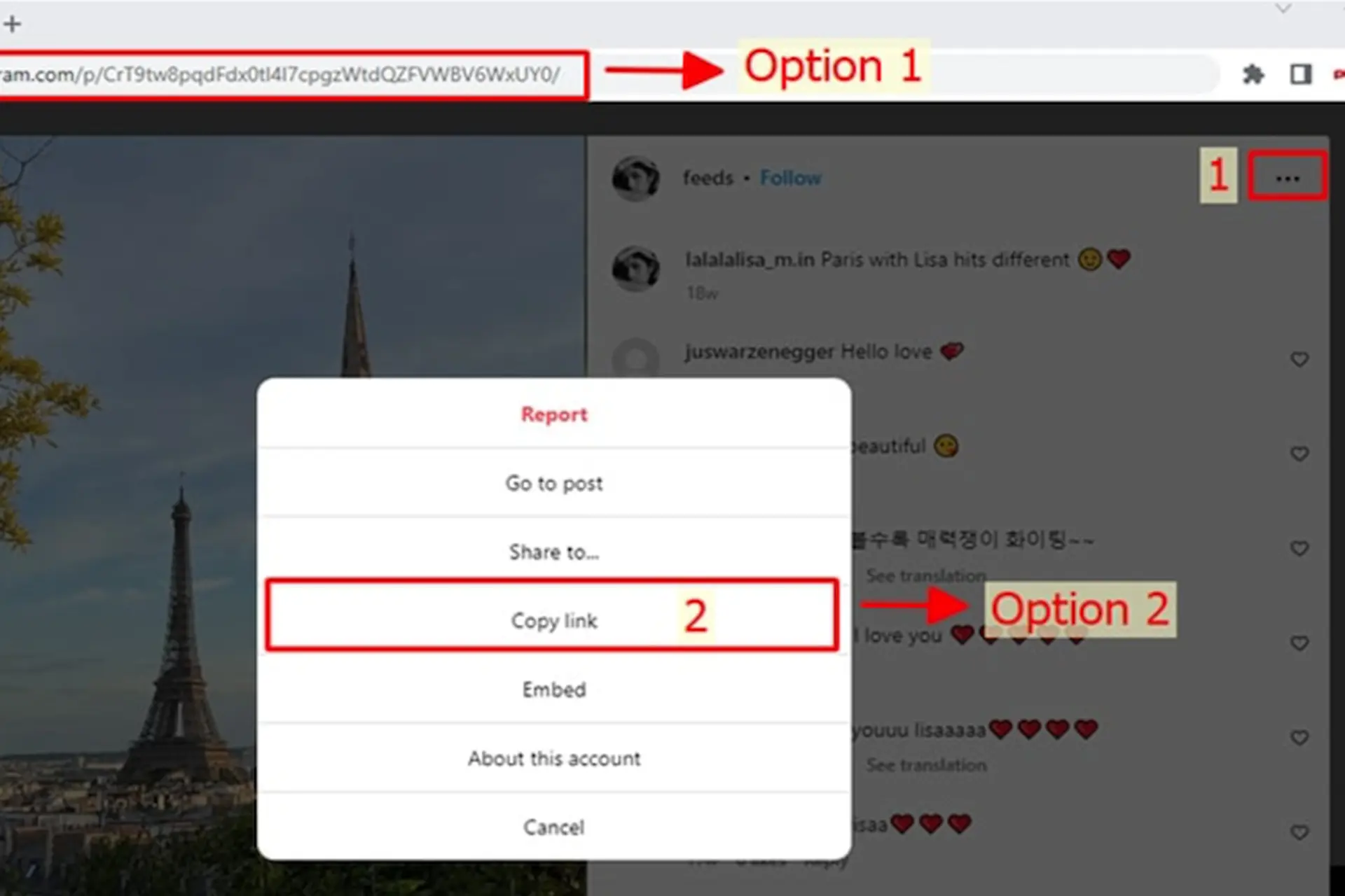 Cách tải ảnh Instagram riêng tư, nguyên lý hoạt động và những giới hạn cần biết