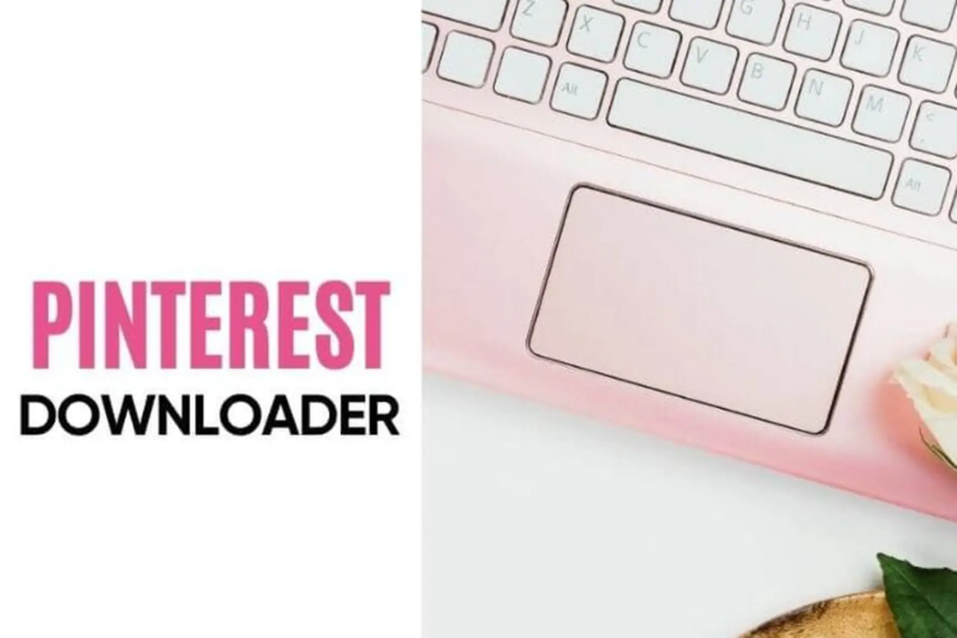 Tải GIF miễn phí Pinterestdownloader.io: Chất lượng cao và nhanh chóng nhất