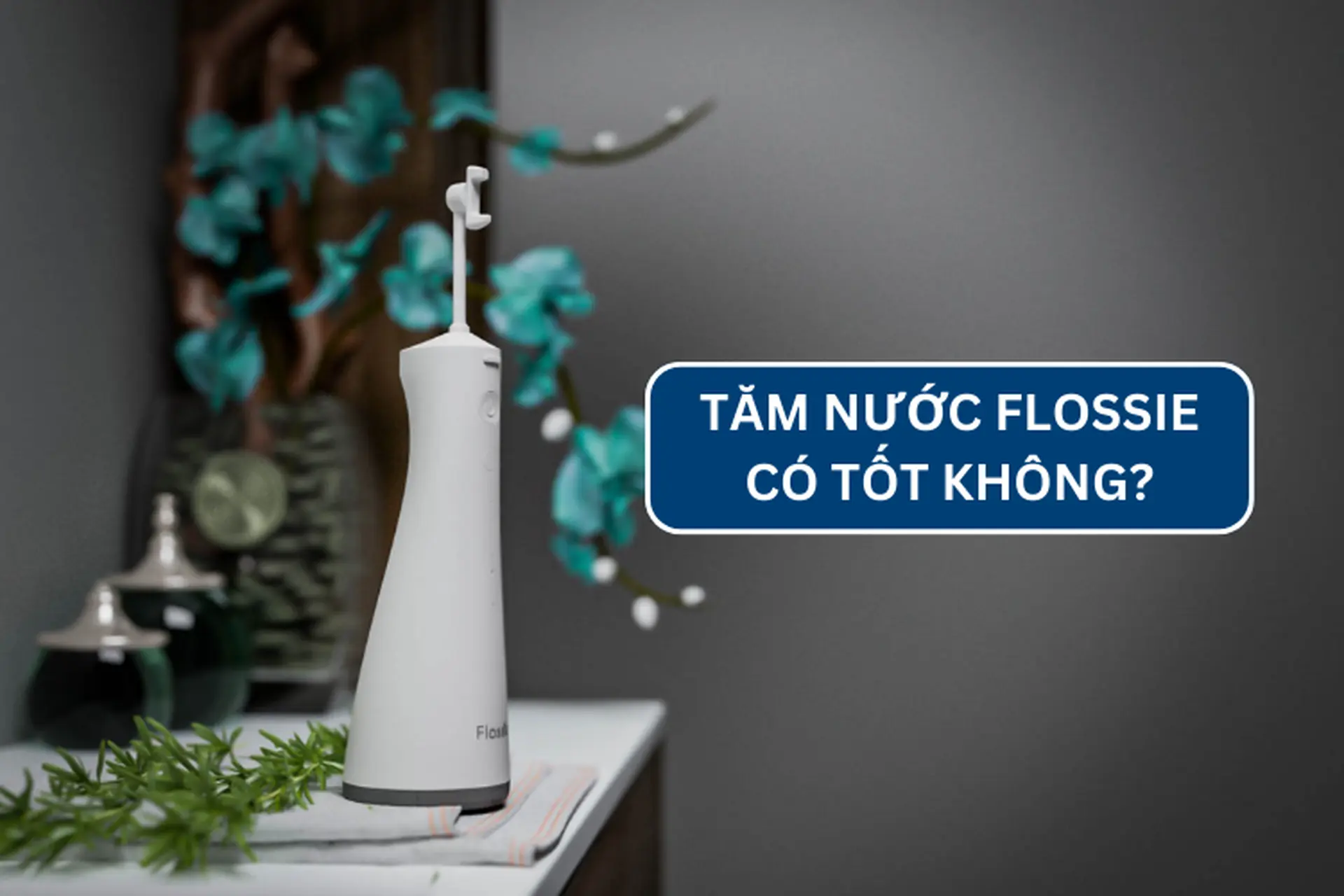 Khám phá tăm nước Flossie có tốt không? Của nước nào? Có nên mua và sử dụng không? 