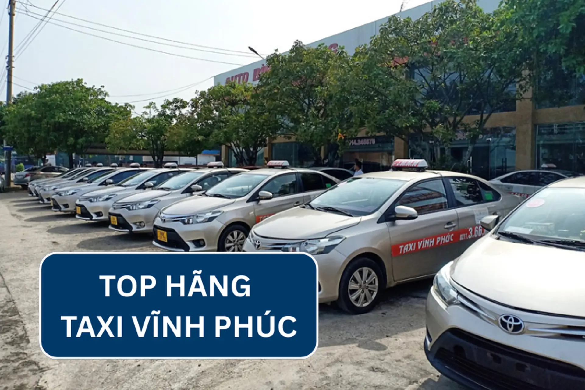 Điểm danh 10 hãng taxi Vĩnh Phúc uy tín hàng đầu, giá cước minh bạch và dịch vụ chuyên nghiệp