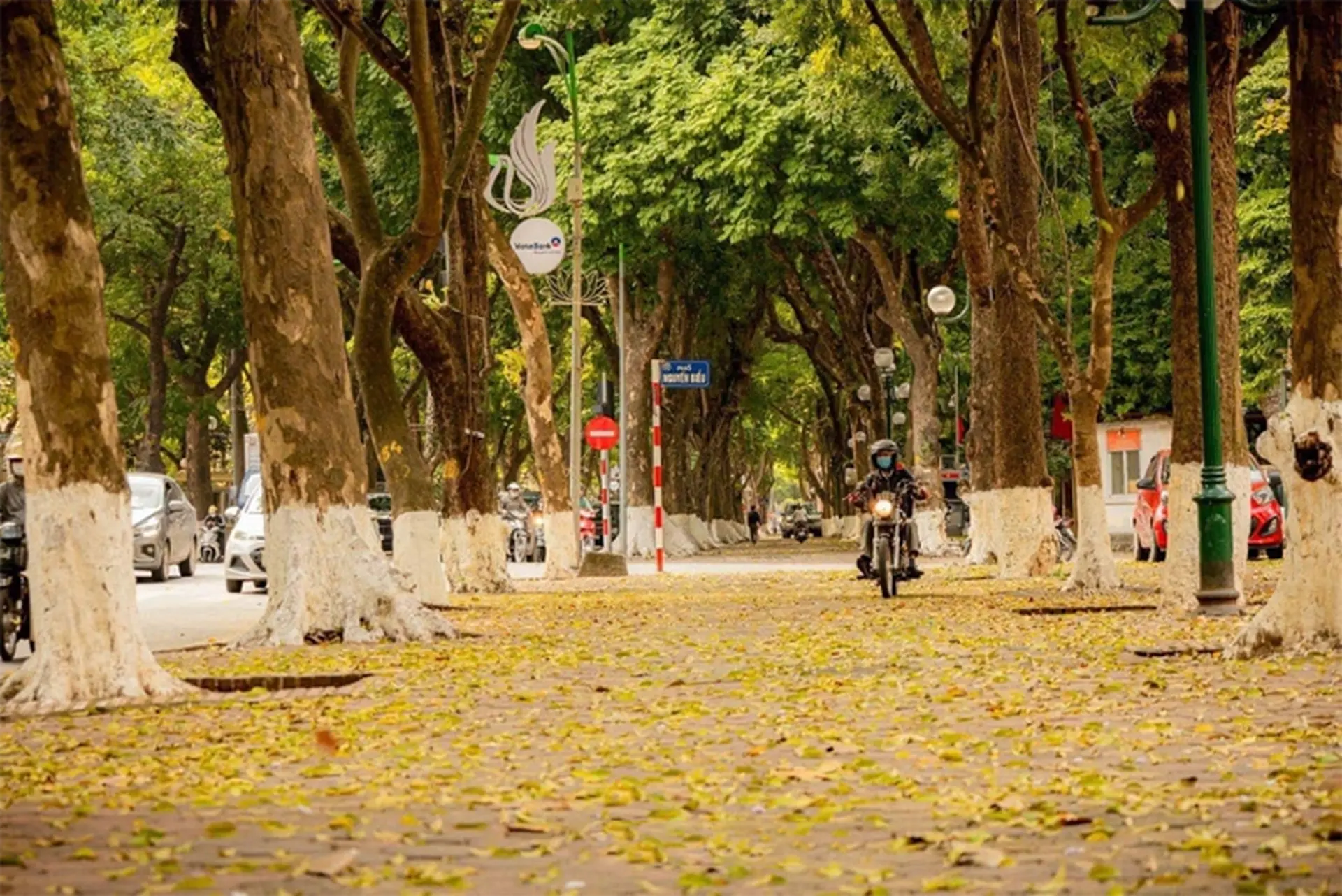 Tháng 10 du lịch ở đâu Việt Nam? Gợi ý 10 điểm đến lý tưởng khắp ba miền đất nước