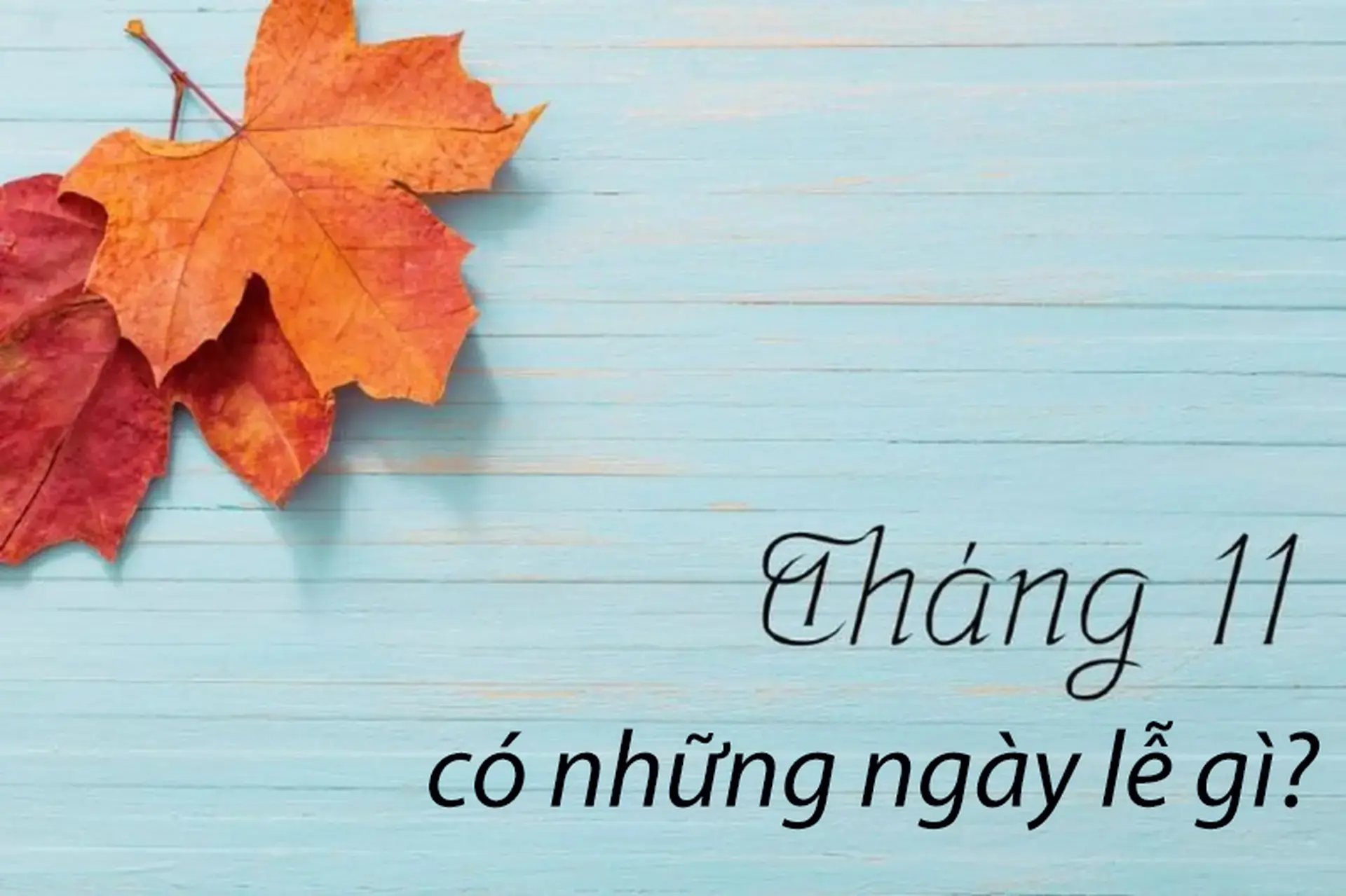 Tháng 11 có những ngày lễ gì? Danh sách sự kiện nổi bật trong nước và quốc tế