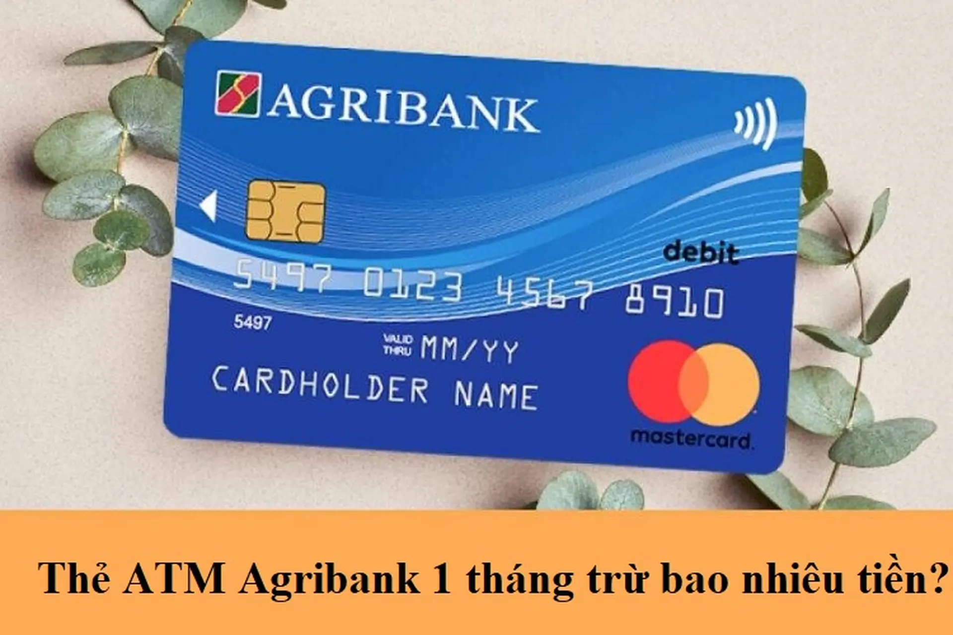Thẻ ATM Agribank 1 tháng trừ bao nhiêu tiền? Cập nhật biểu phí mới nhất