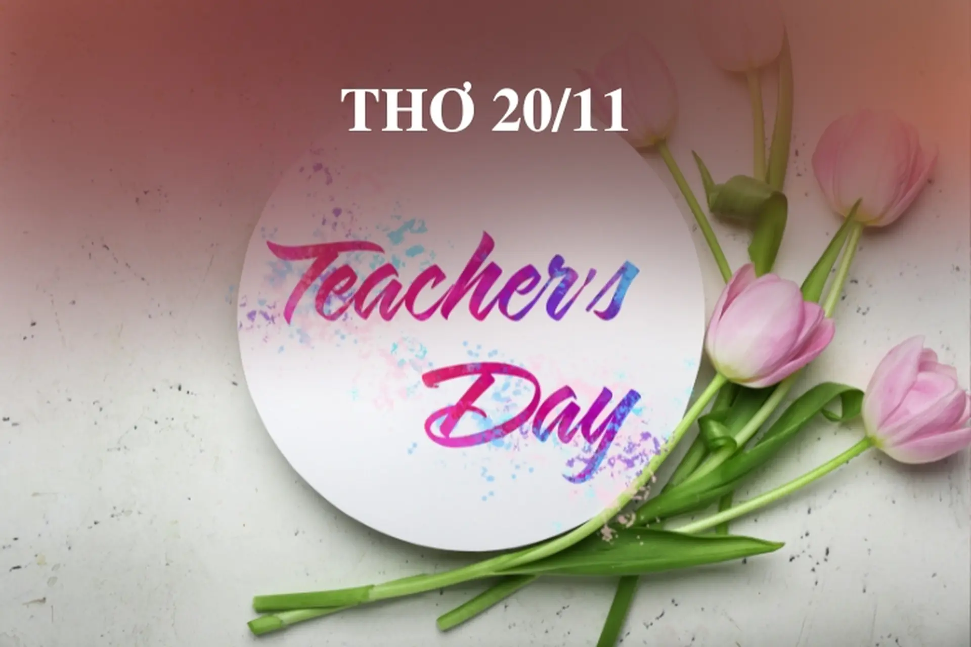 Những áng thơ 20/11 ngắn, thơ về thầy cô 20/11 đặc sắc và ý nghĩa nhân ngày Nhà giáo Việt Nam