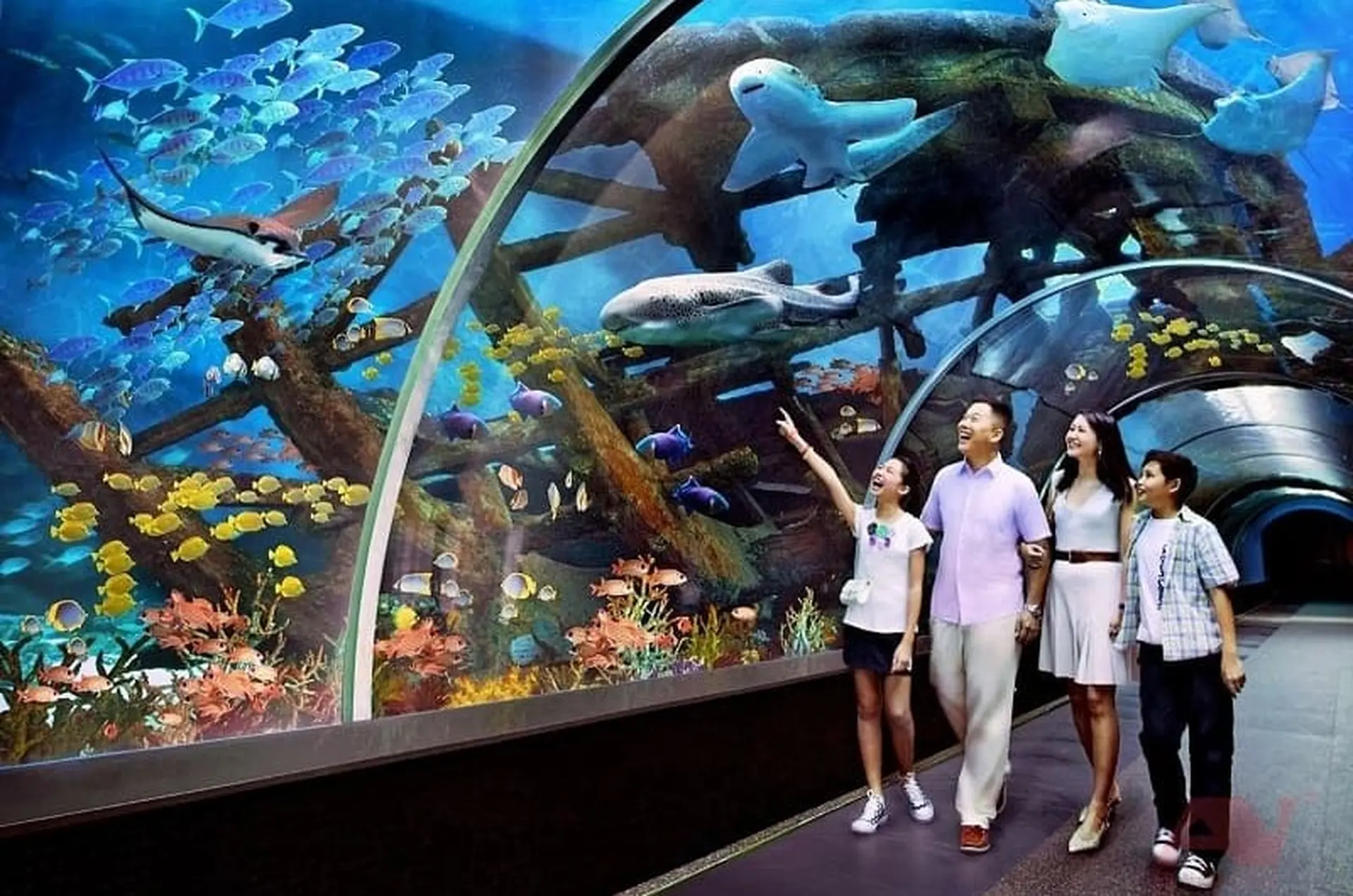 Khám phá top 3 thủy cung Nha Trang đẹp mê ly - Thiên đường sống ảo cho giới trẻ