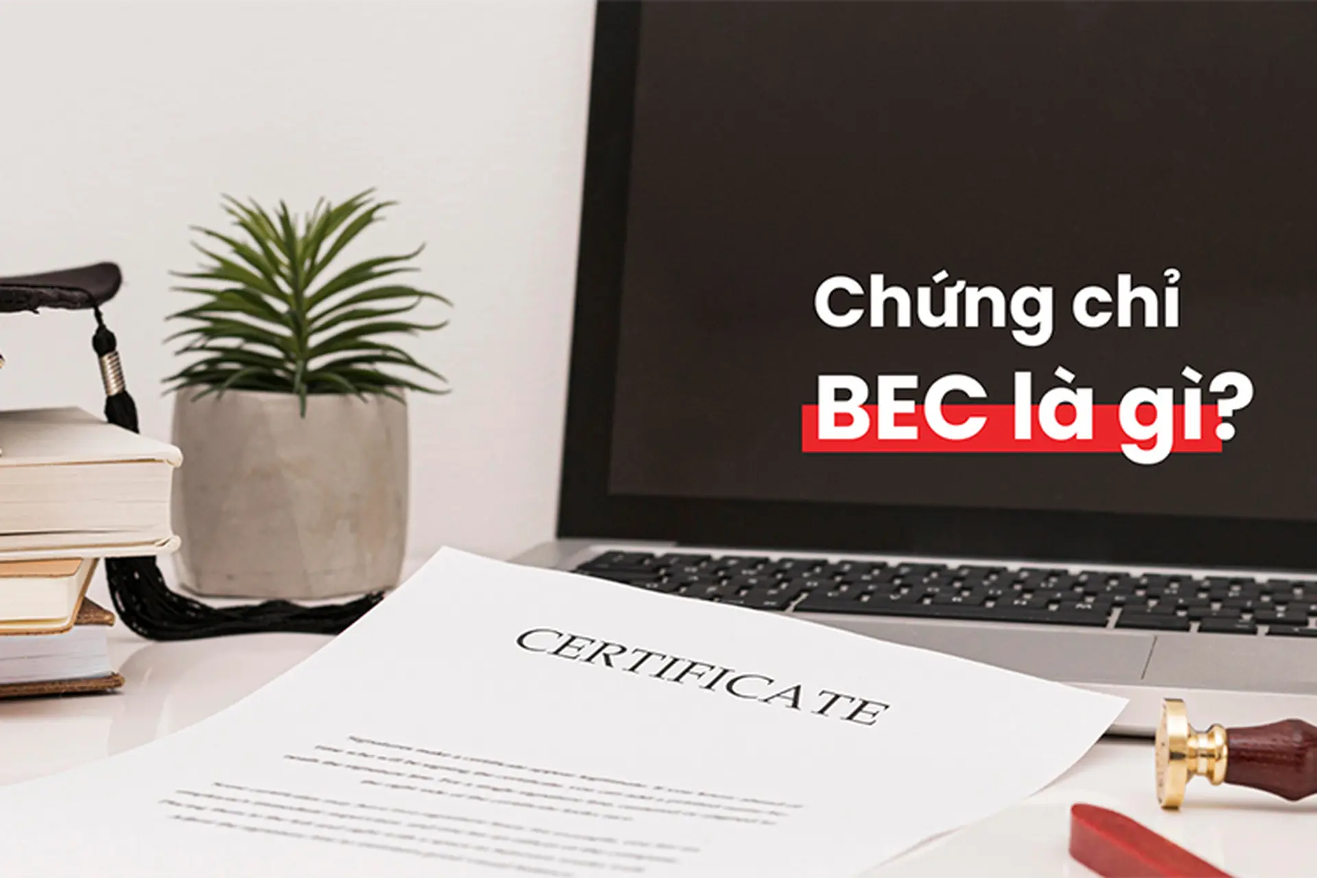 Tìm hiểu BEC là gì và lý do vì sao chứng chỉ tiếng Anh thương mại này ngày càng được ưa chuộng