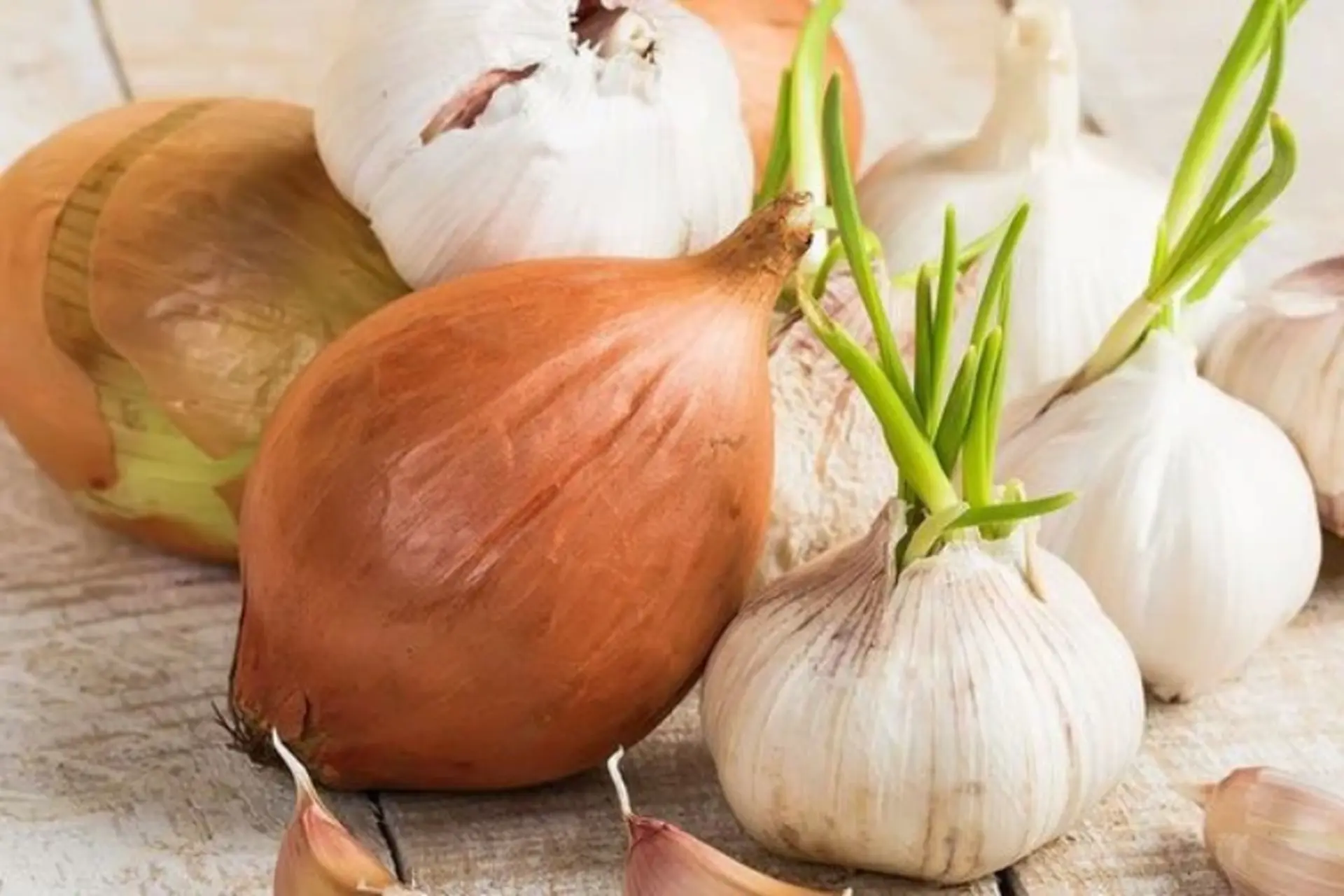 Tỏi mọc mầm c&oacute; ăn được kh&ocirc;ng? Ăn tỏi mọc mầm c&oacute; hại hay c&oacute; lợi?