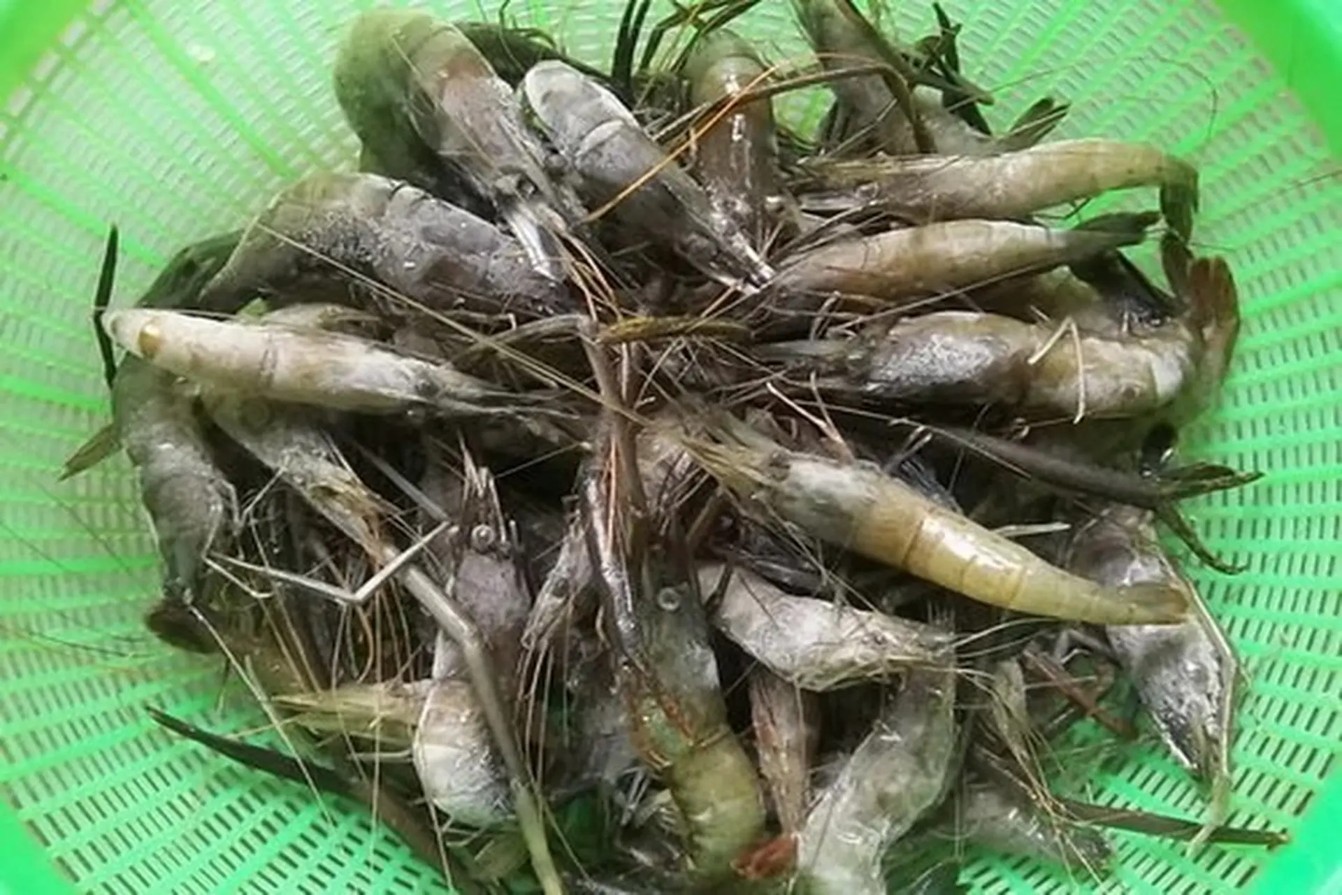 nguyen-lieu-chinh-va-cach-nau-lau-gach-tom-chuan-vi