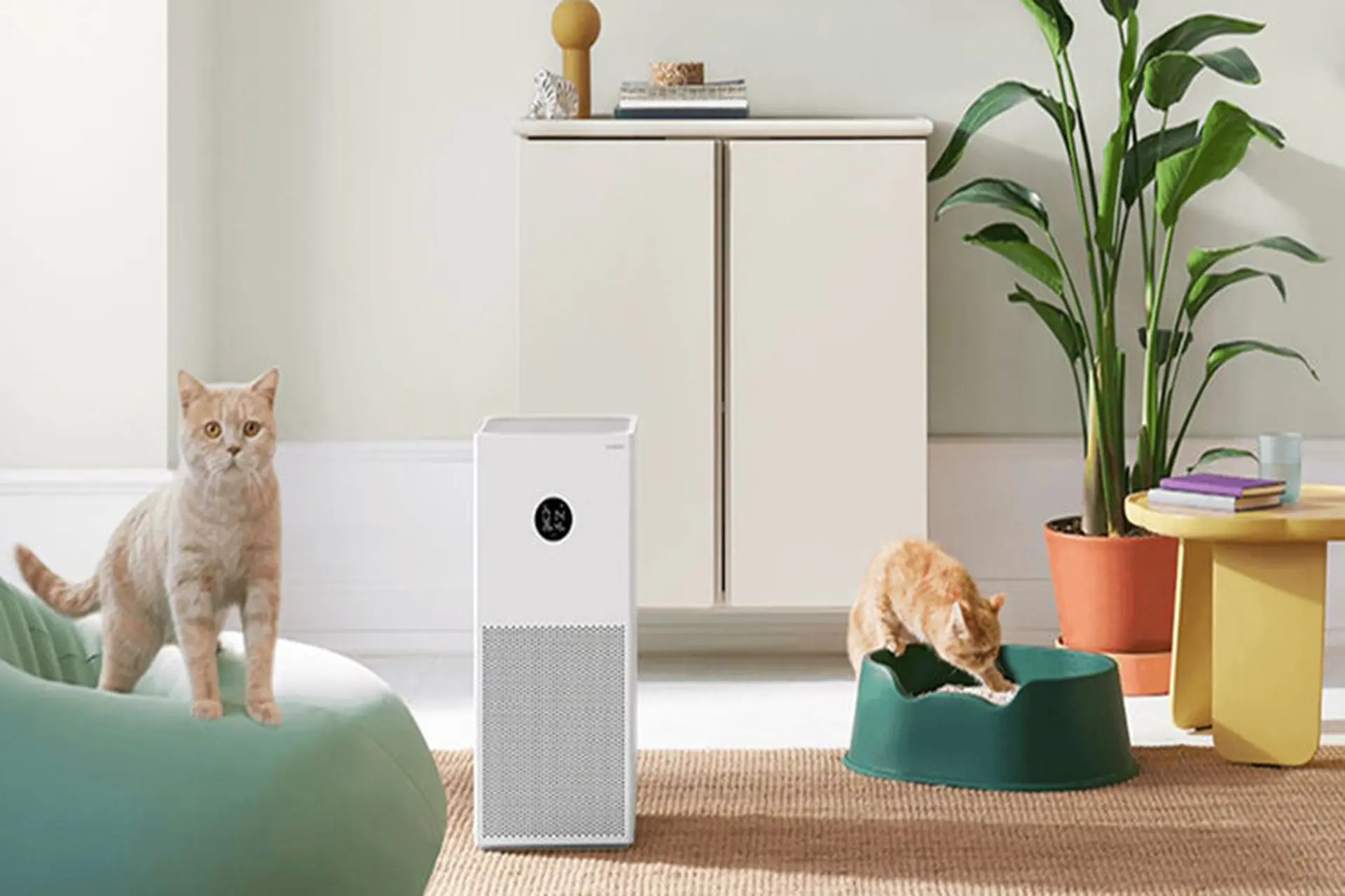Top máy lọc không khí dưới 3 triệu tốt 2026 tại FPT Shop, tận hưởng không khí trong lành với chi phí thấp