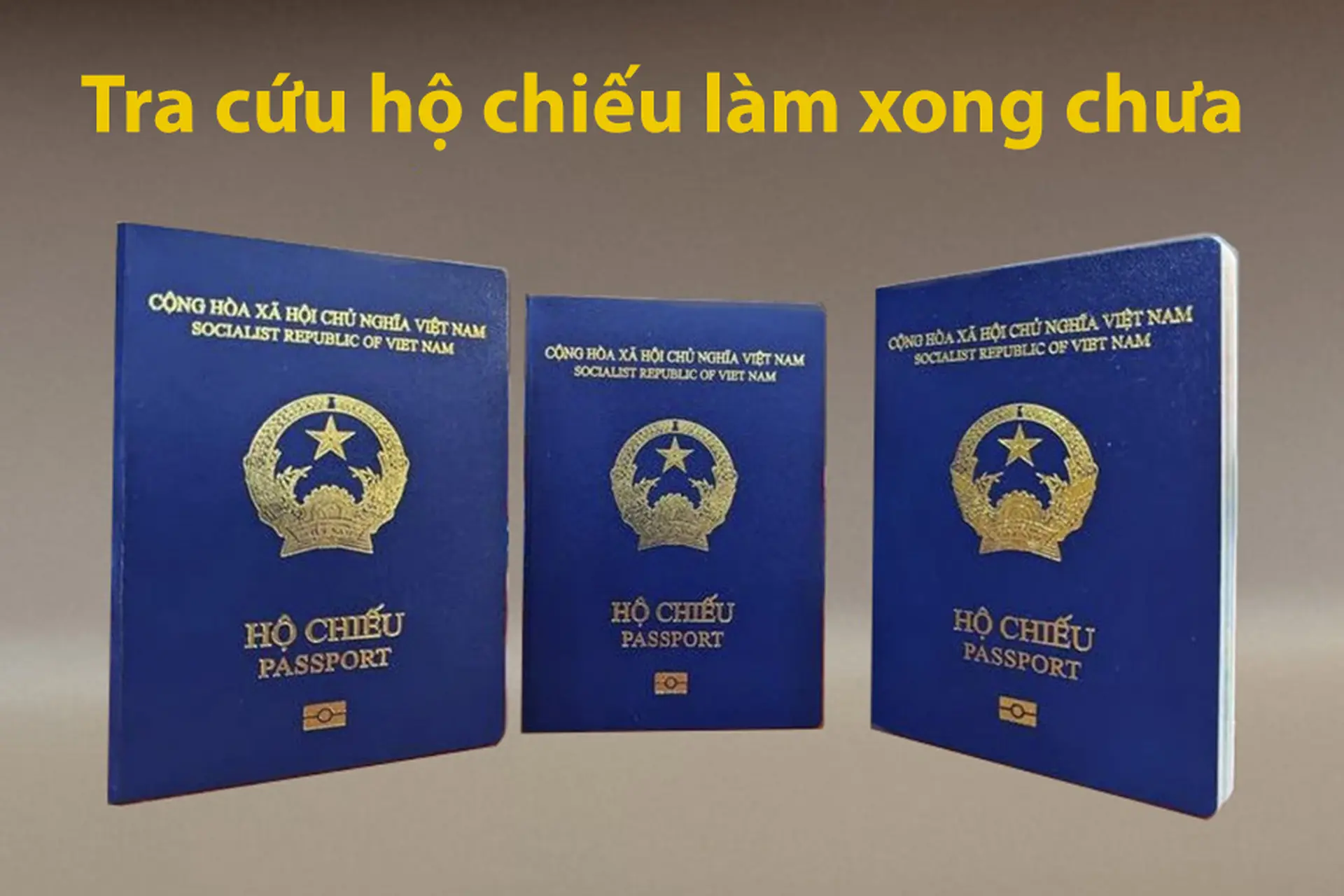 Bật mí 3 cách tra cứu hộ chiếu làm xong chưa nhanh chóng, chính xác nhất 2024