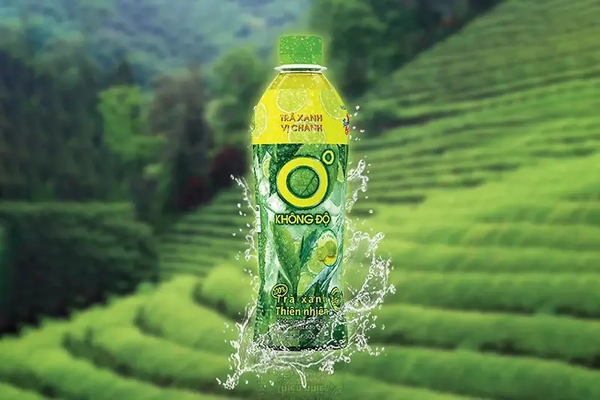 Trà xanh không độ 