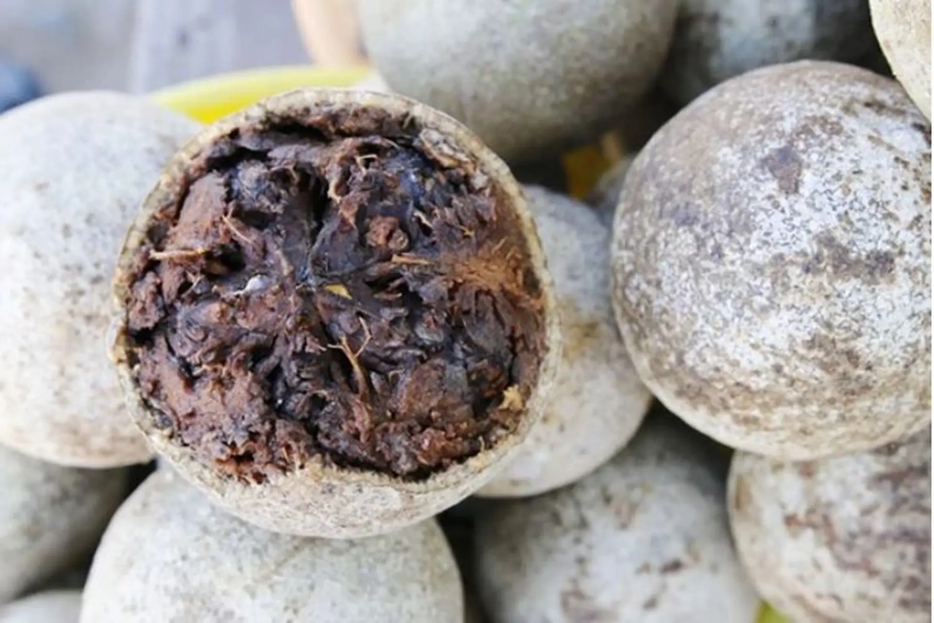 Trái quách là gì? Lợi ích sức khỏe tuyệt vời của loại quả này