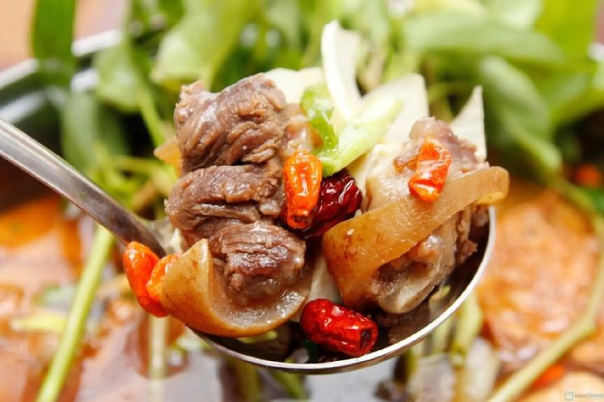 Trời lạnh ăn gì cho ấm​? Những thực phẩm giúp giữ ấm hiệu quả trong ngày đông lạnh