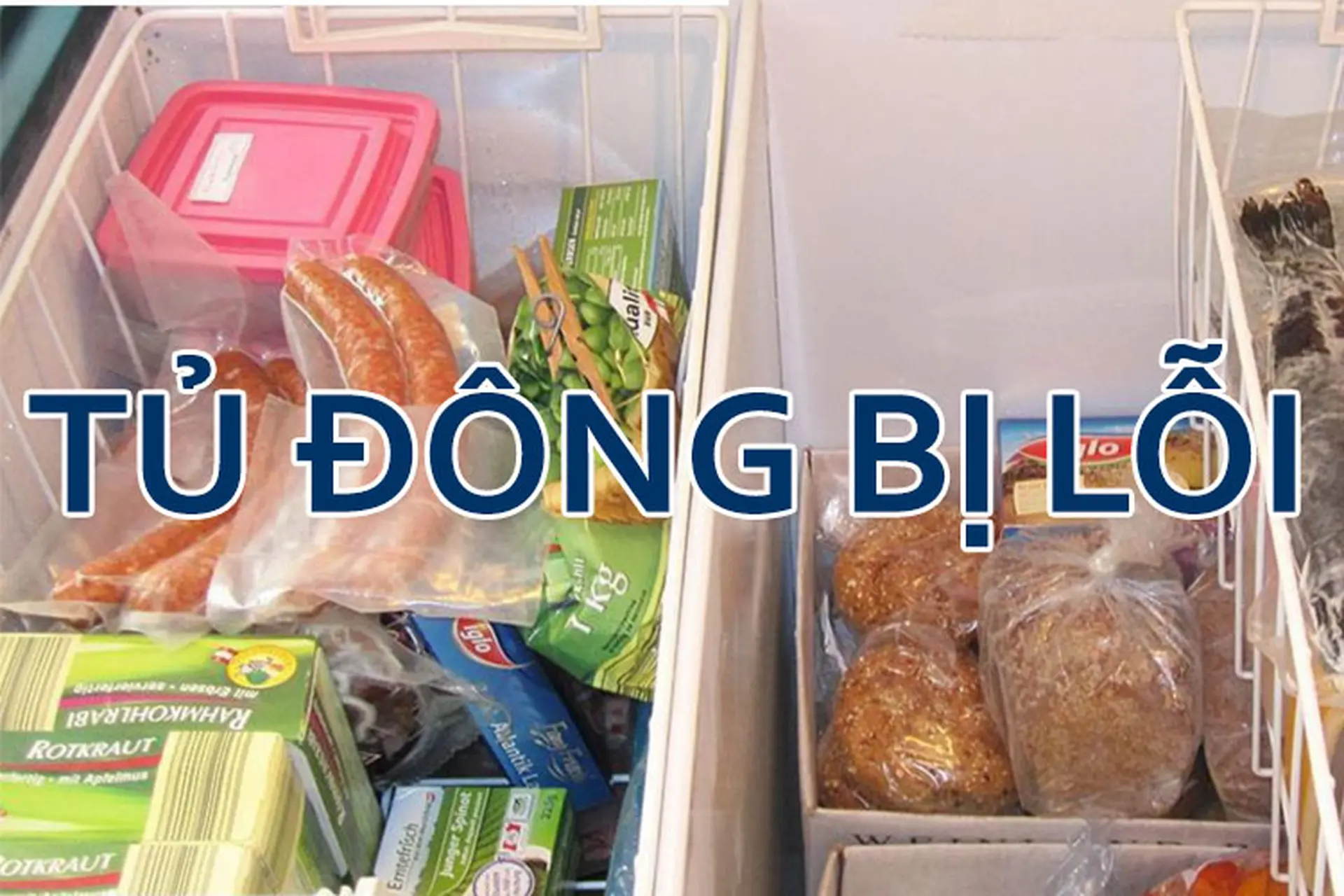 Tủ đông bị lỗi: Tìm hiểu nguyên nhân và cách khắc phục nhanh chóng, hiệu quả nhất