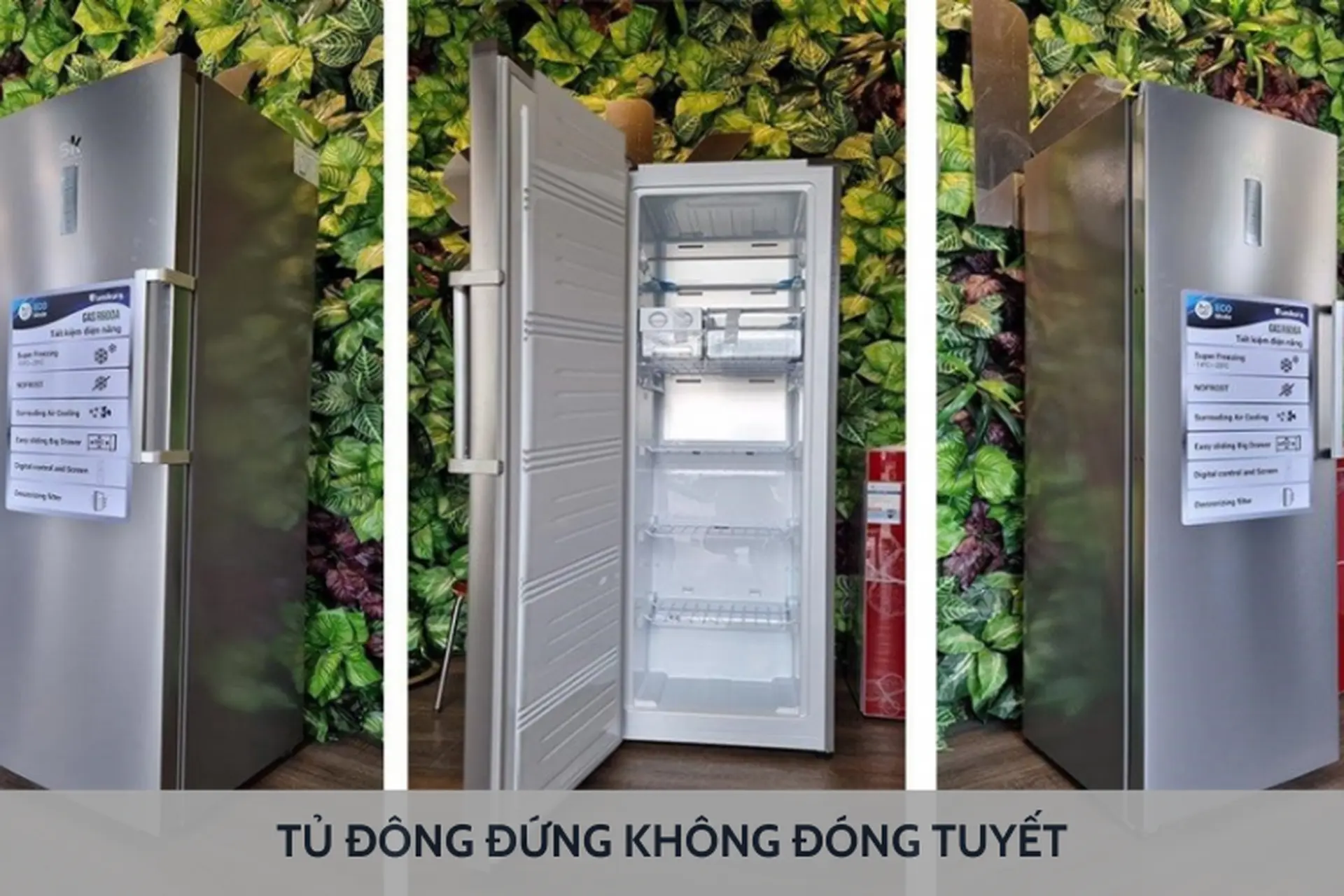 Hướng dẫn cách chọn tủ đông đứng không đóng tuyết chất lượng, phù hợp với nhu cầu sử dụng