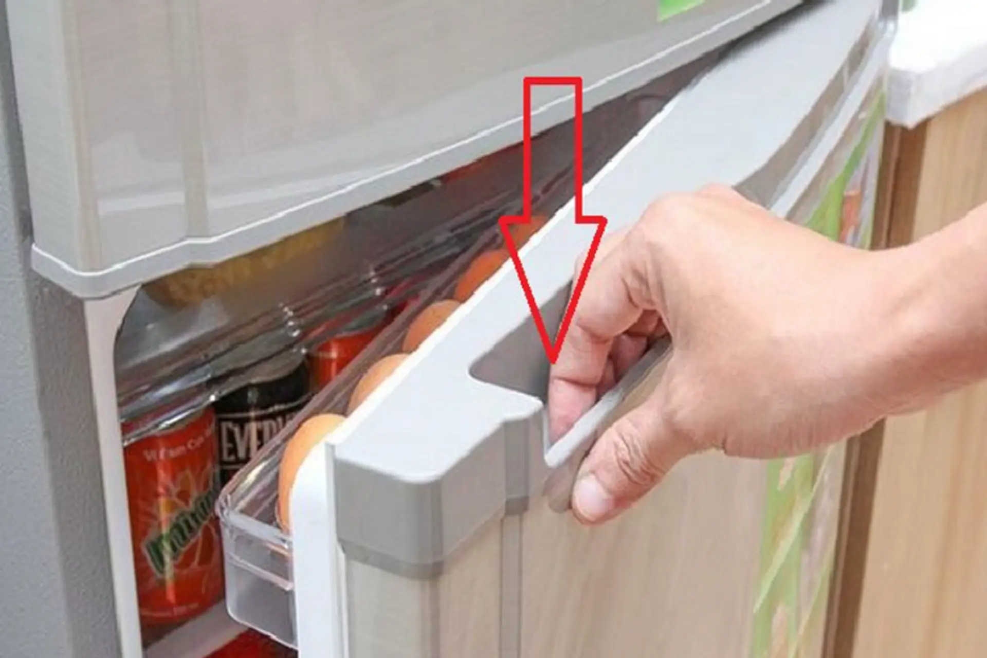 Vì sao tủ lạnh bị đọng nước ở cánh: Tìm hiểu nguyên nhân và cách khắc phục nhanh chóng, hiệu quả