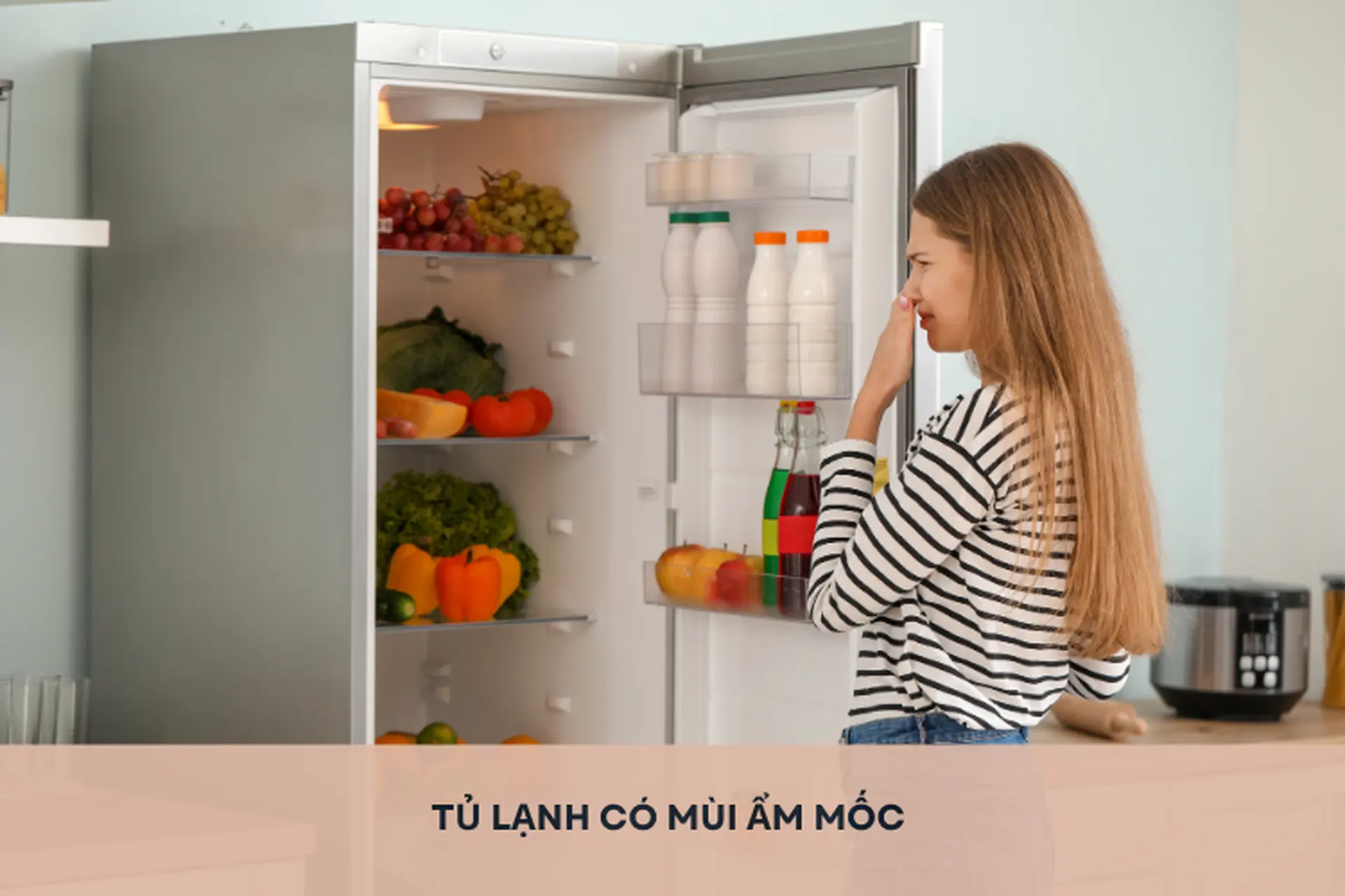 Tủ lạnh có mùi ẩm mốc: Nguyên nhân và bỏ túi các cách khử mùi đơn giản ngay tại nhà