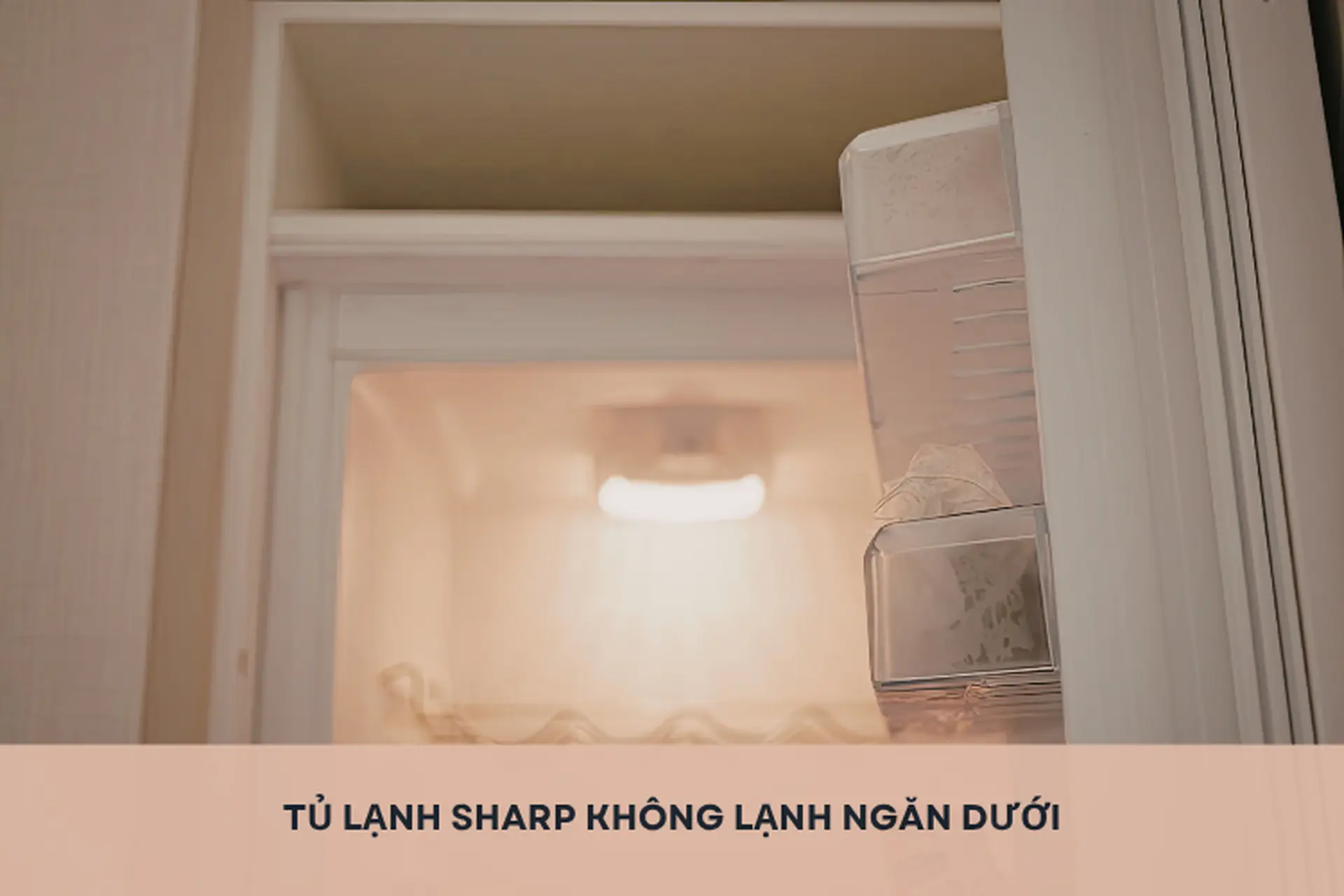 Tủ lạnh Sharp không lạnh ngăn dưới: Tìm hiểu nguyên nhân gây nên và hướng dẫn cách xử lý nhanh chóng