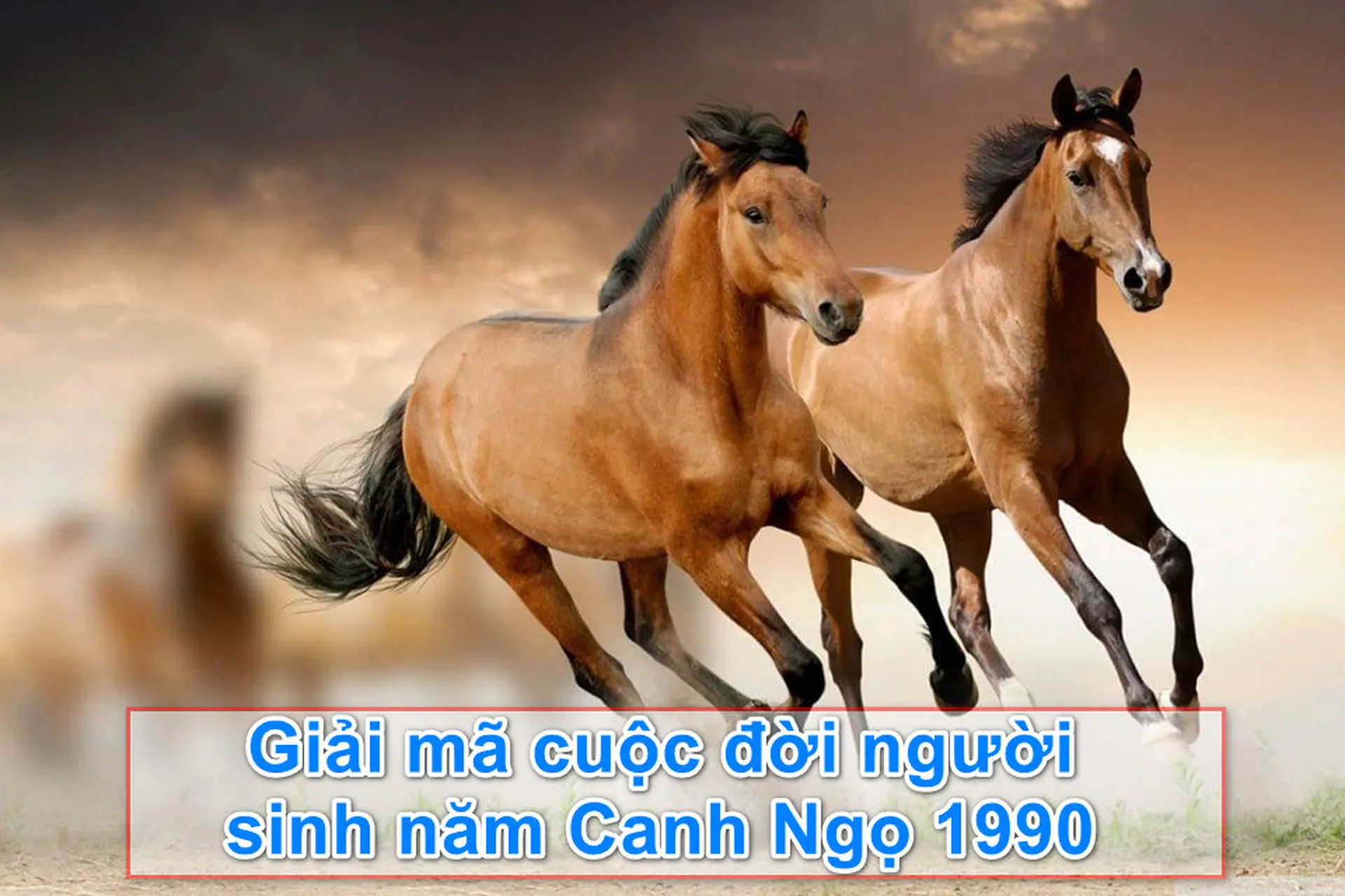 Giải mã cuộc đời người sinh năm Canh Ngọ 1990: Tình duyên, sự nghiệp, sức khỏe