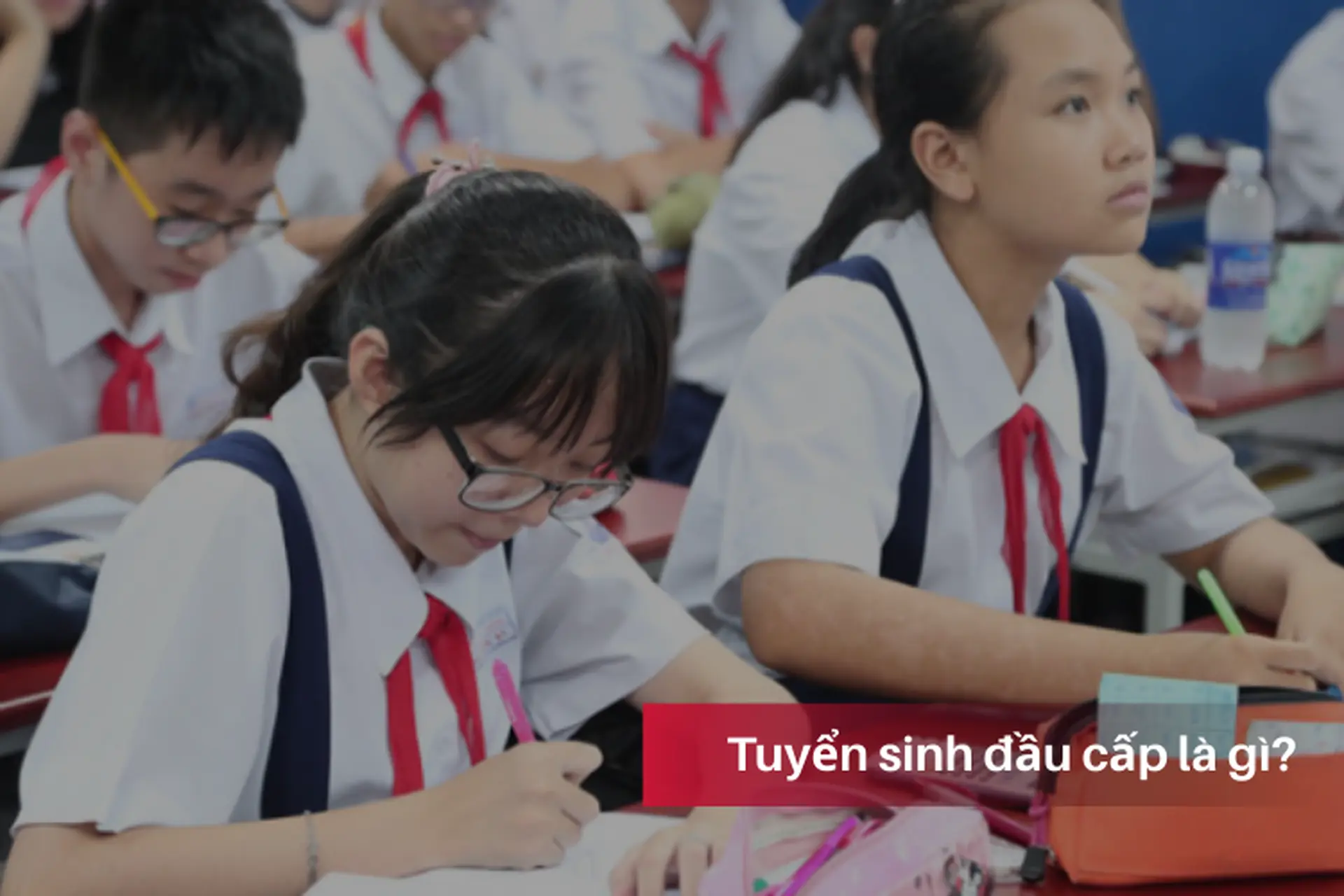 Tuyển sinh đầu cấp là gì? Hướng dẫn cha mẹ chuẩn bị hồ sơ năm học 2025 - 2026