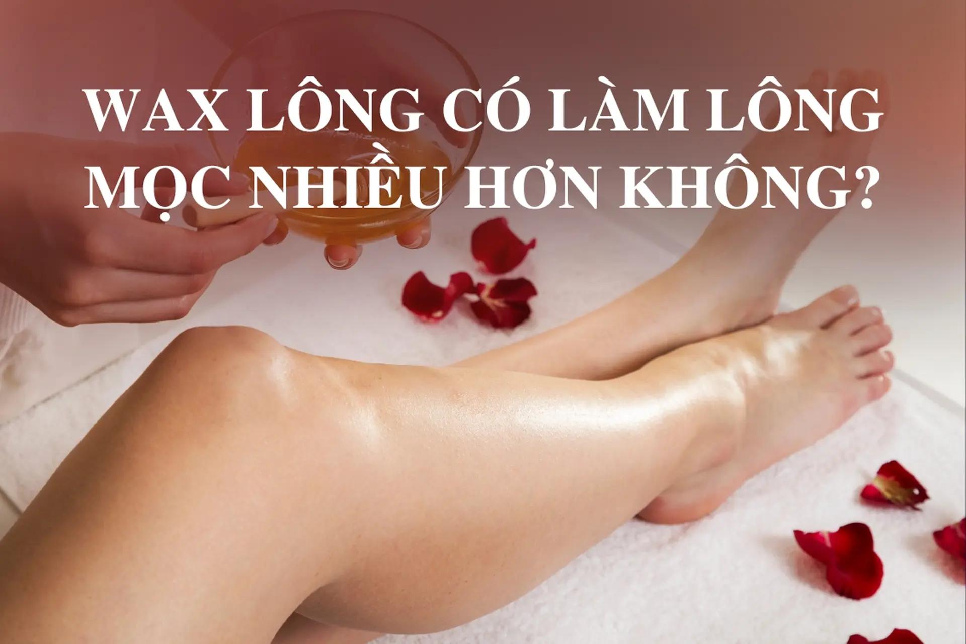 Wax lông có làm lông mọc nhiều hơn không? Bí mật bạn chưa biết về cách tẩy lông hiệu quả!
