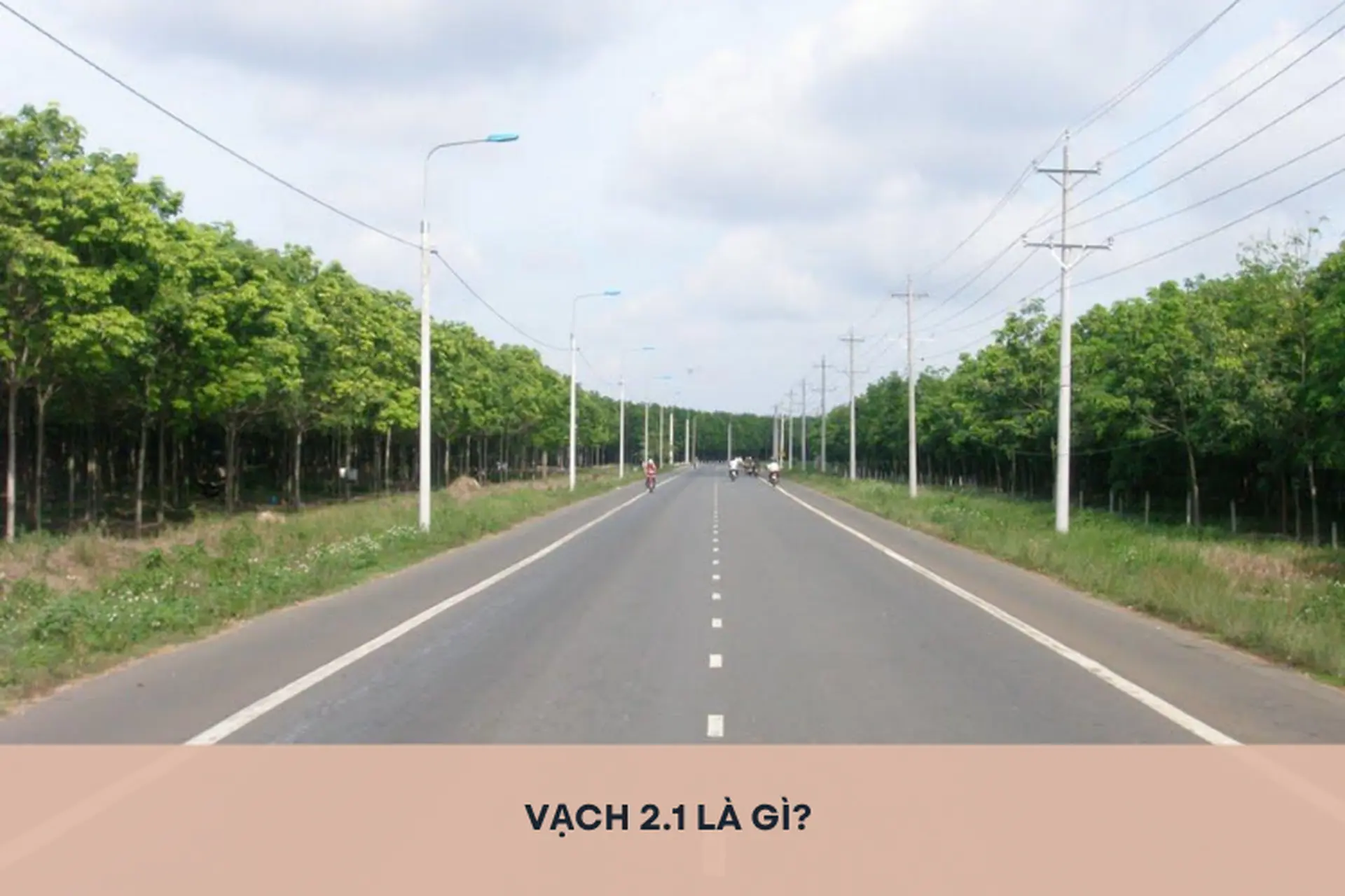 Tìm hiểu: Vạch 2.1 là vạch gì? Đè lên vạch 2.1 có bị phạt không và mức phạt như thế nào?