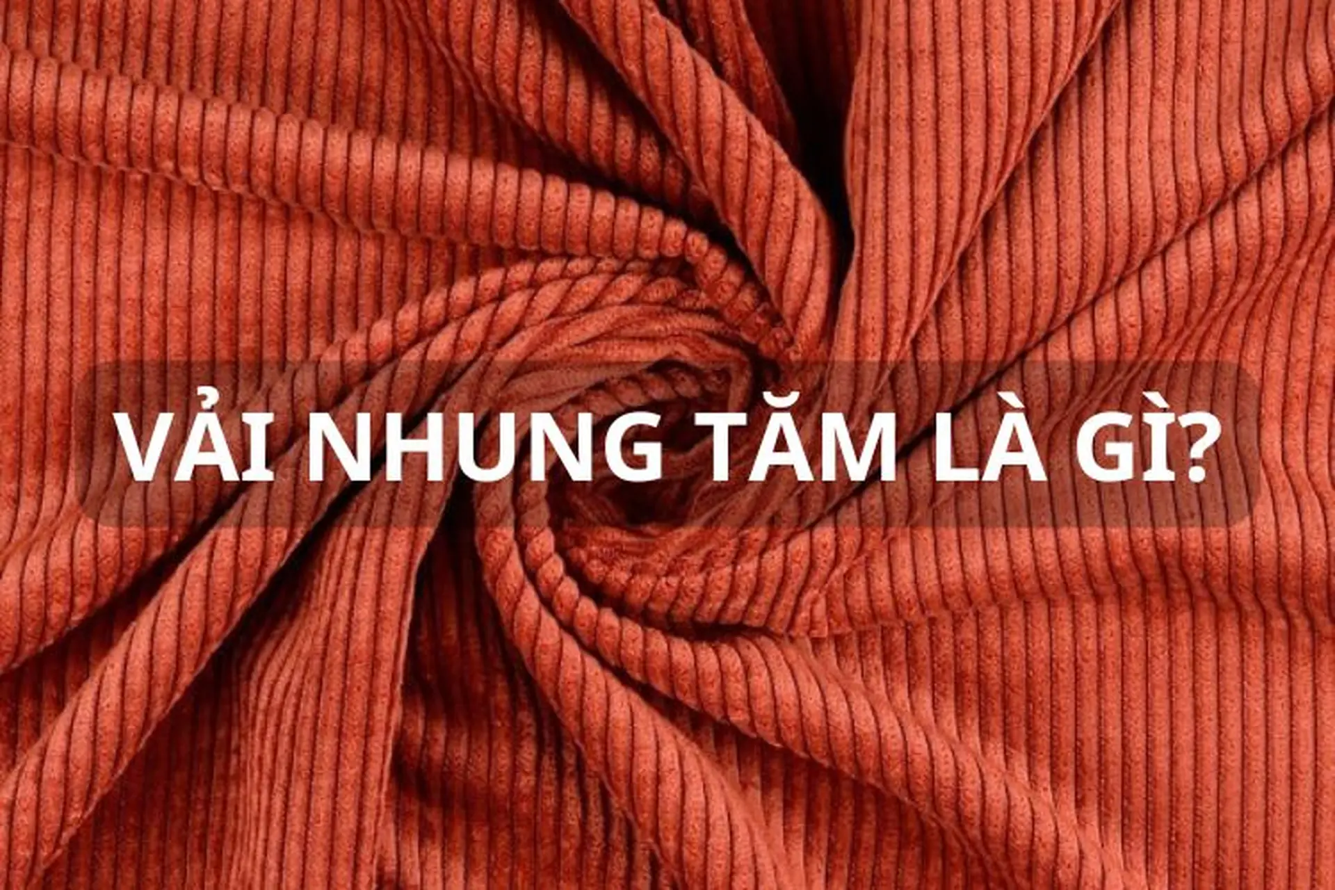 Vải nhung tăm là gì? Bật mí ưu nhược điểm và ứng dụng của loại vải này trong đời sống hiện nay 