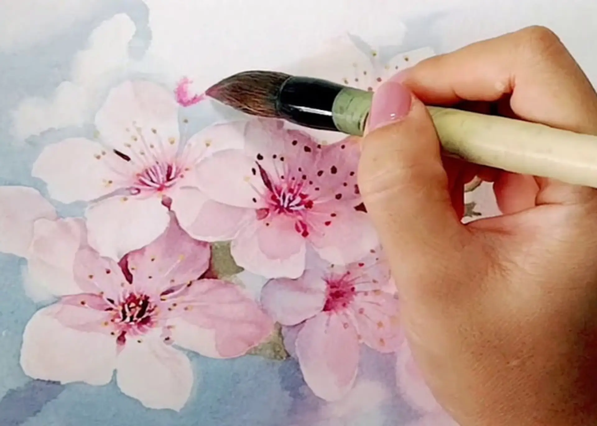 Cách vẽ hoa anh đào đẹp: Hướng dẫn cực chi tiết cho người mới bắt đầu vẽ tranh