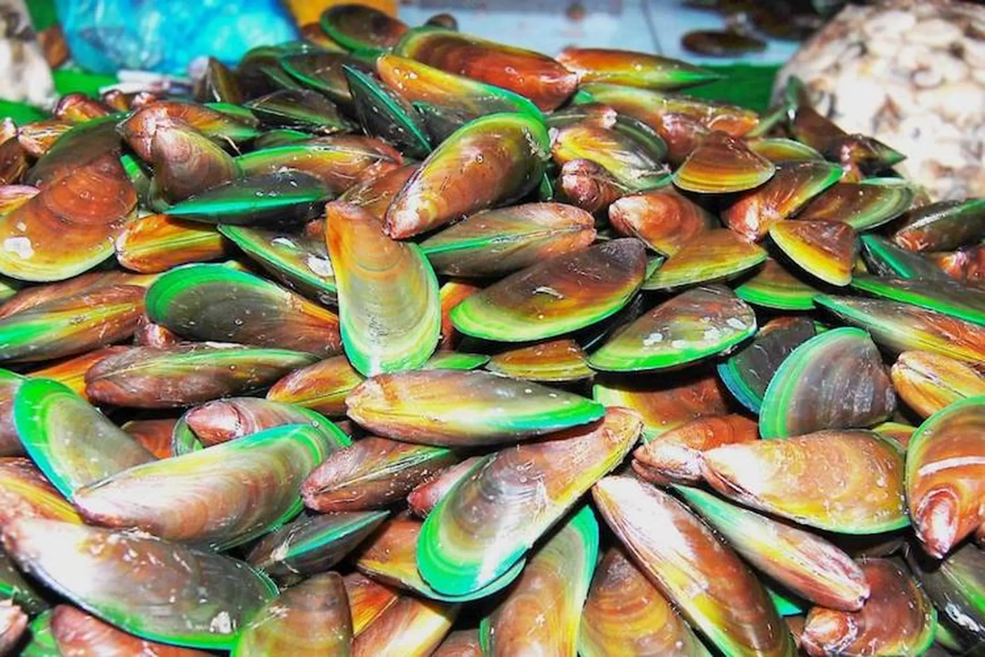 Cách làm vẹm xanh xào sả ớt đơn giản, thơm ngon đậm đà hương vị cho bữa cơm gia đình
