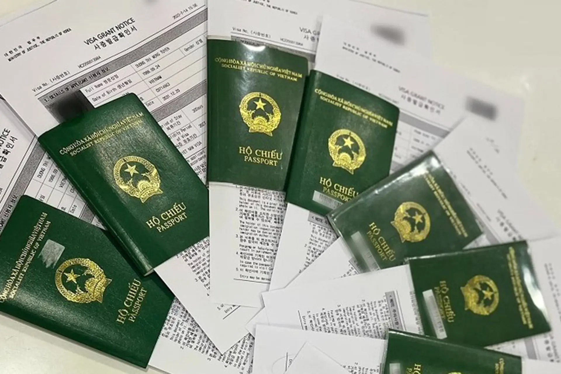 Visa du lịch Hàn Quốc cần gì? Hướng dẫn hồ sơ, thủ tục và kinh nghiệm xin visa năm 2026