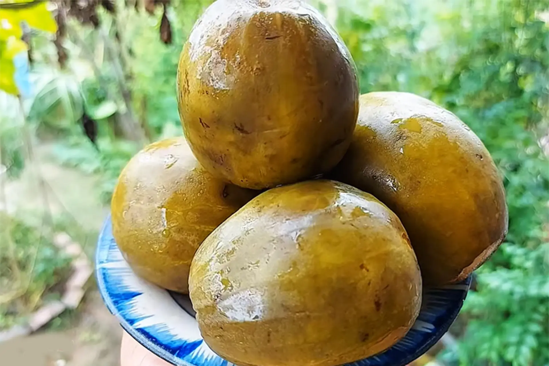 Cách làm vỏ dưa hấu non muối chua ngon khó cưỡng - Khám phá món ăn mới lạ ít người biết