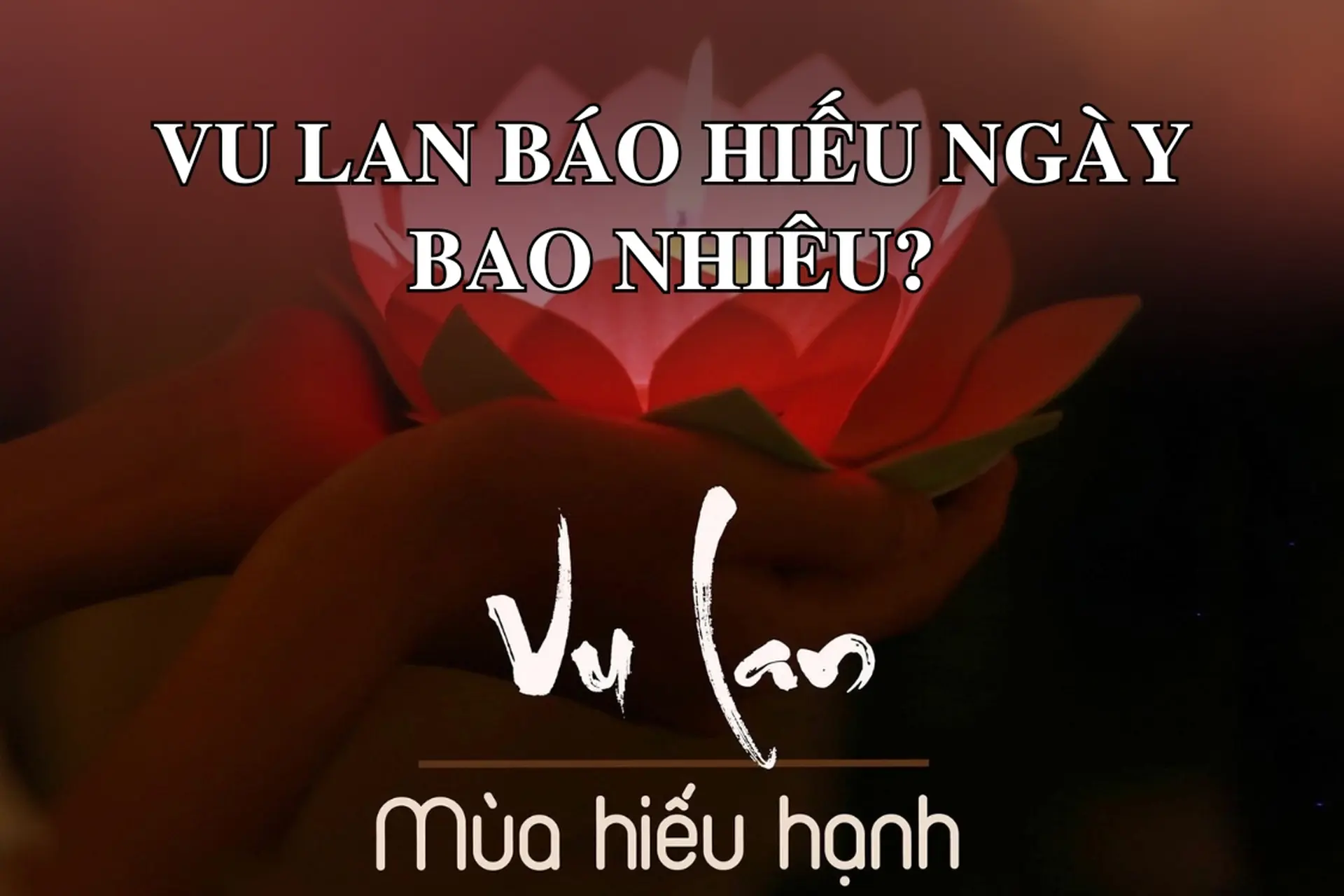 Vu Lan Báo Hiếu ngày bao nhiêu 2025? Nguồn gốc, ý nghĩa và hoạt động nổi bật