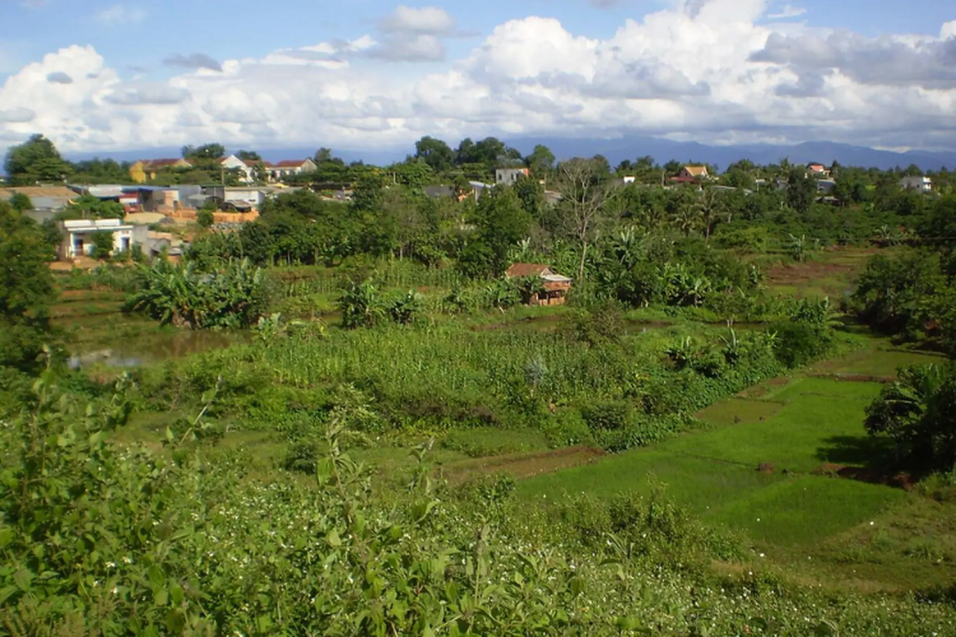 Xã Ea Ning của Đắk Lắk sau sáp nhập: Thay đổi về mặt kinh tế, văn hóa, xã hội