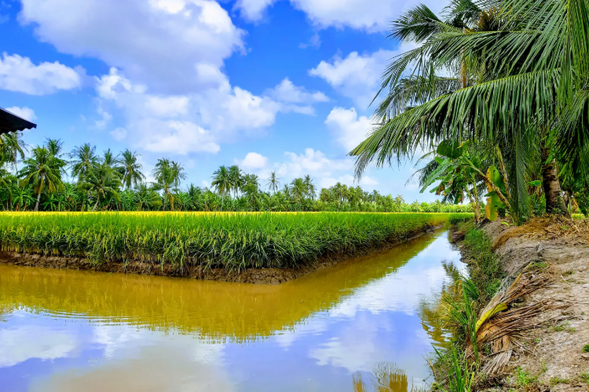 Xã Khánh Hưng của Cà Mau sau sáp nhập: Ổn định hành chính, thúc đẩy phát triển