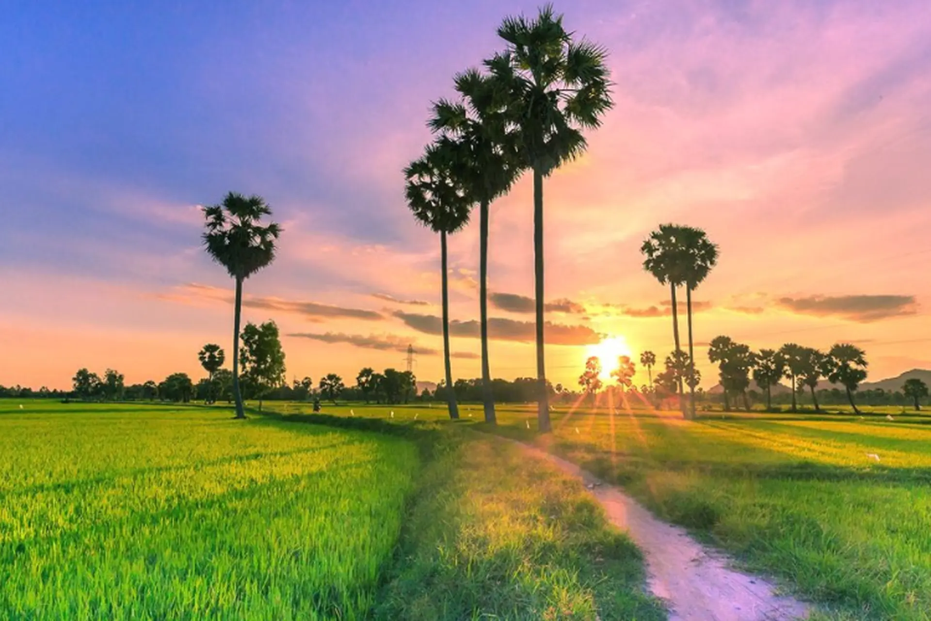 Xã Lạc Quới của An Giang sau sáp nhập thuộc xã nào? Cập nhật thông tin mới nhất