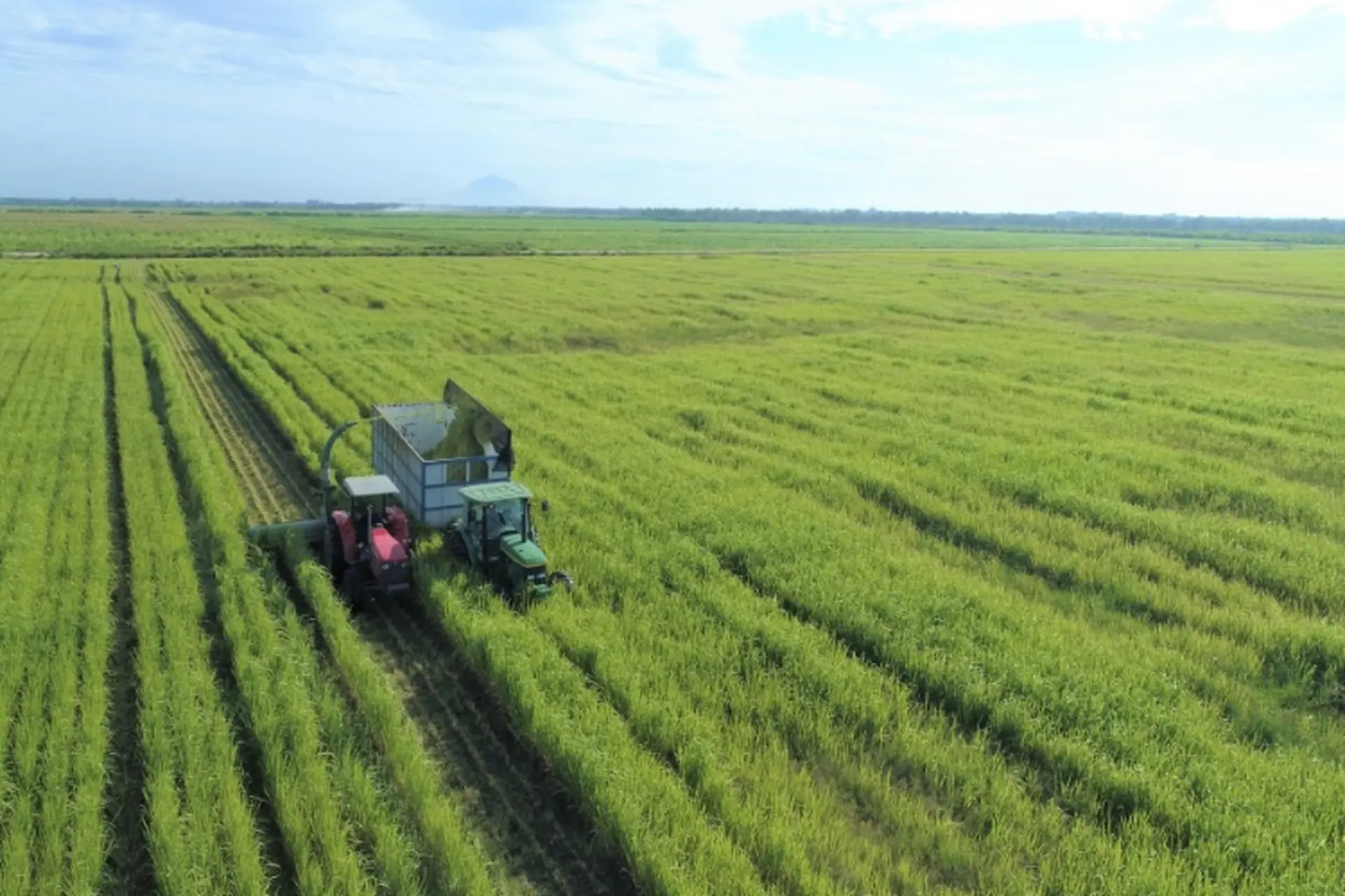 Xã Long Giang của Tây Ninh sau sáp nhập: Hành chính mới, tiềm năng phát triển vững bền